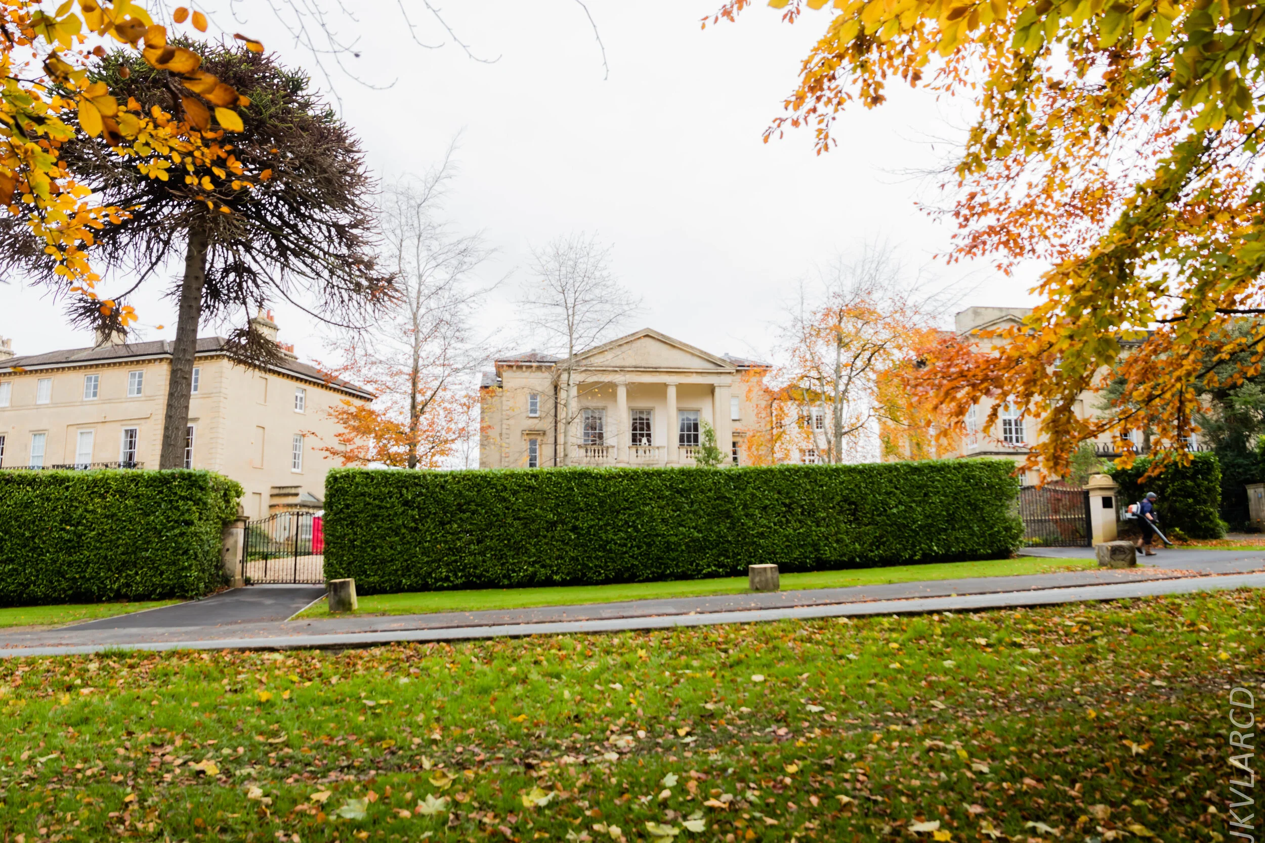 EOS 7D Mark II_2019_11_13_8227.jpg