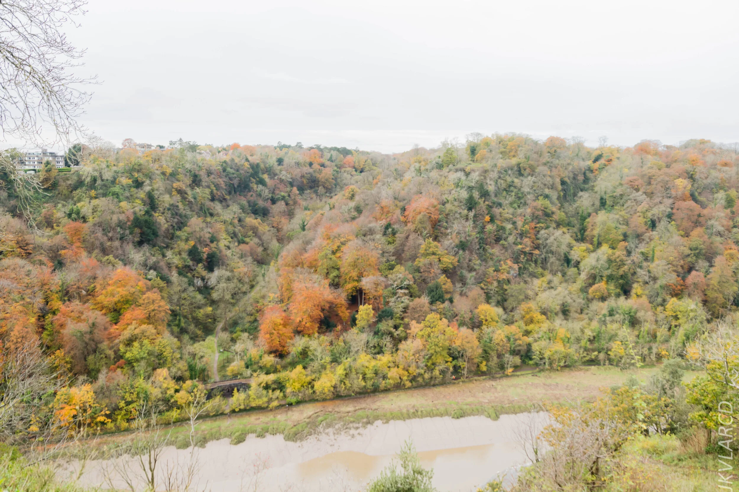 EOS 7D Mark II_2019_11_13_8230.jpg