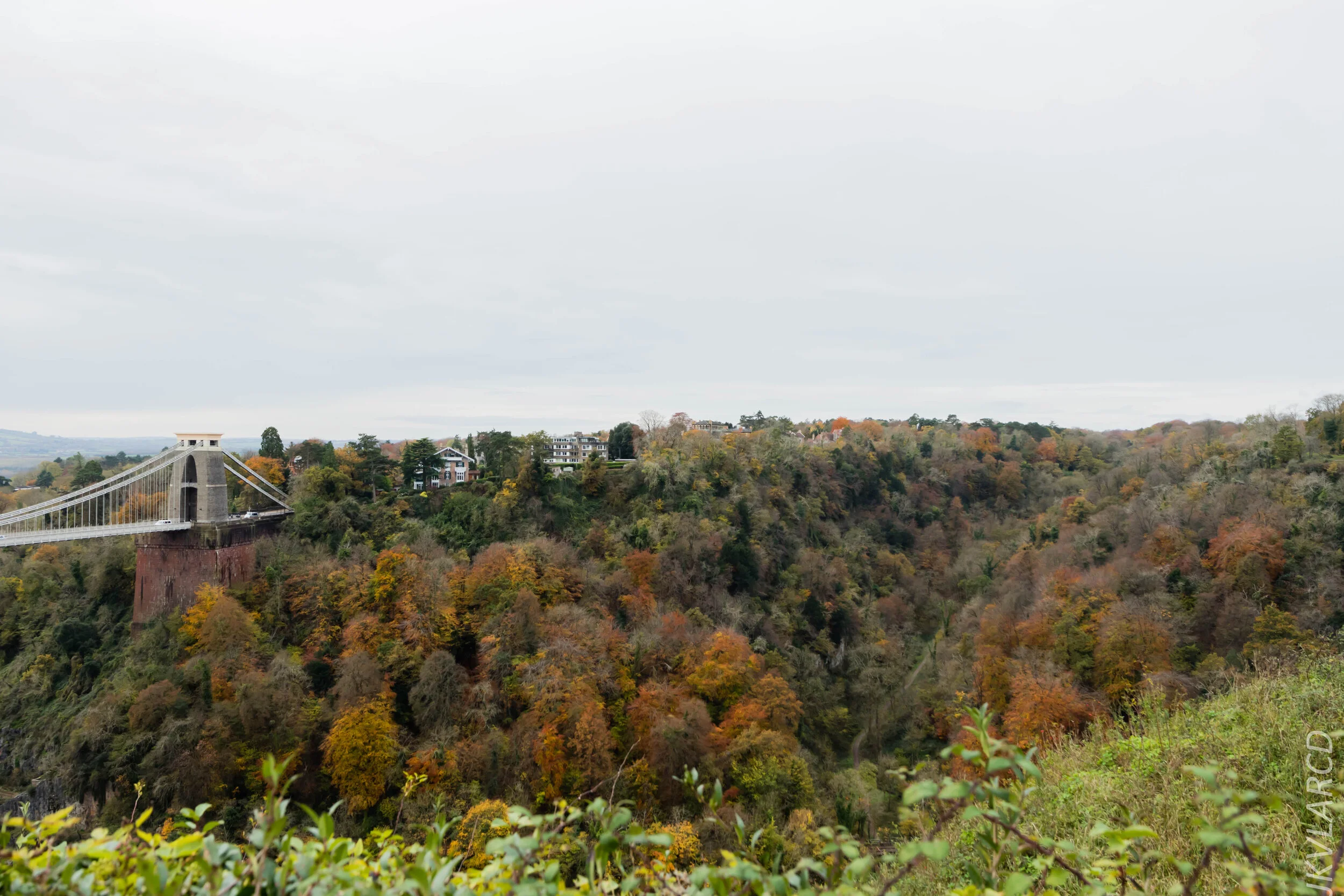 EOS 7D Mark II_2019_11_13_8233.jpg