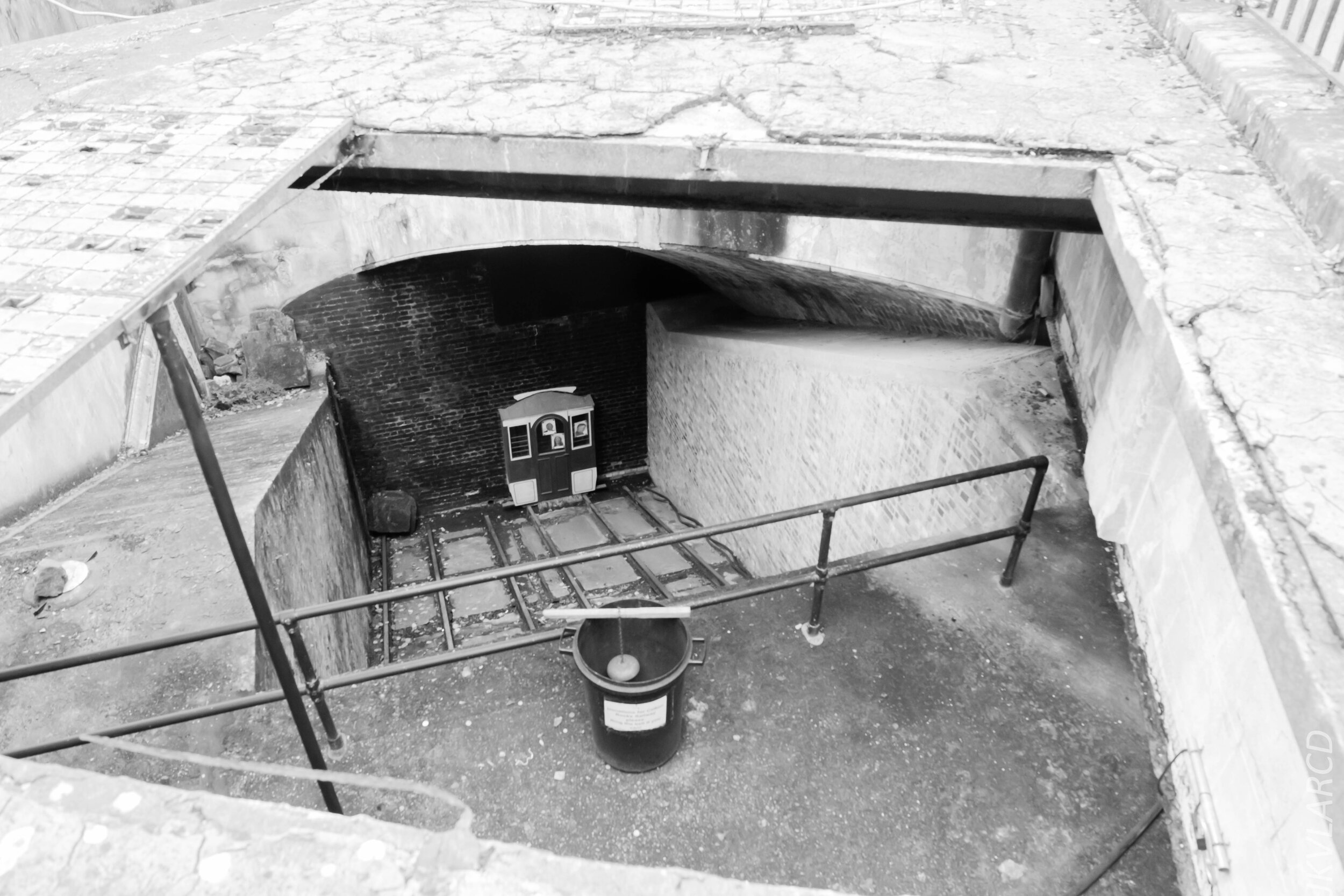 EOS 7D Mark II_2019_11_13_8243.jpg