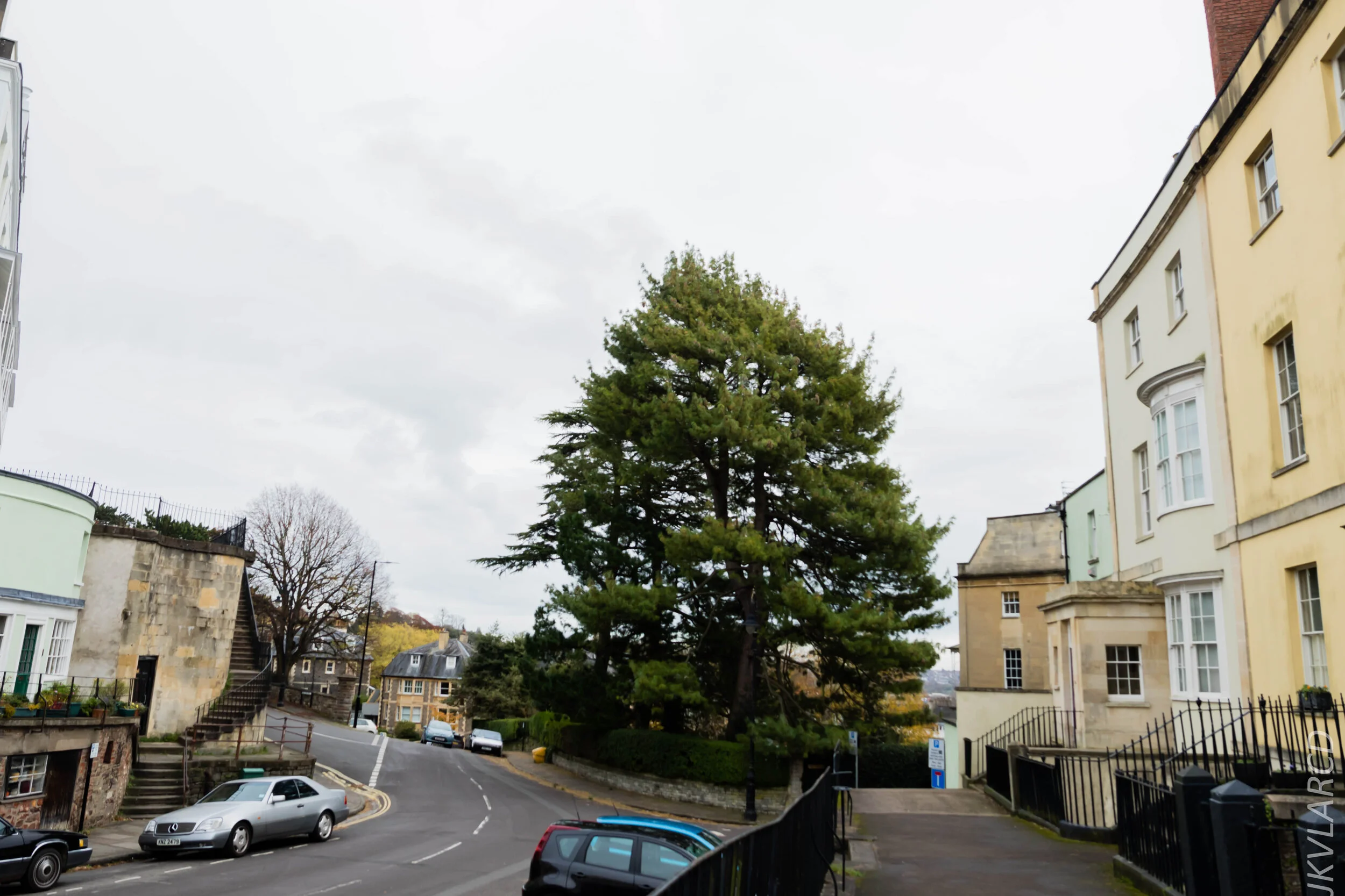 EOS 7D Mark II_2019_11_13_8244.jpg