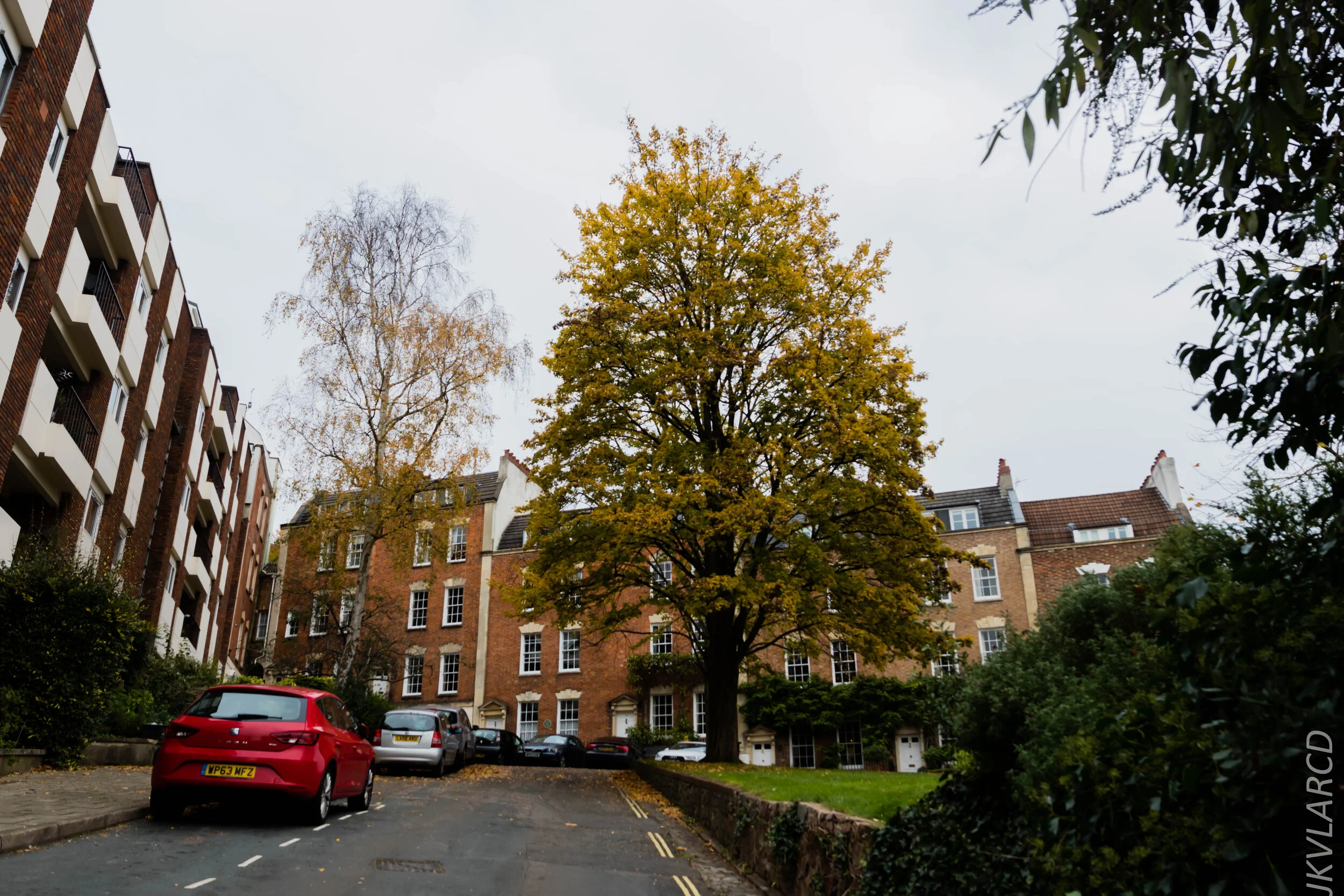 EOS 7D Mark II_2019_11_13_8245.jpg