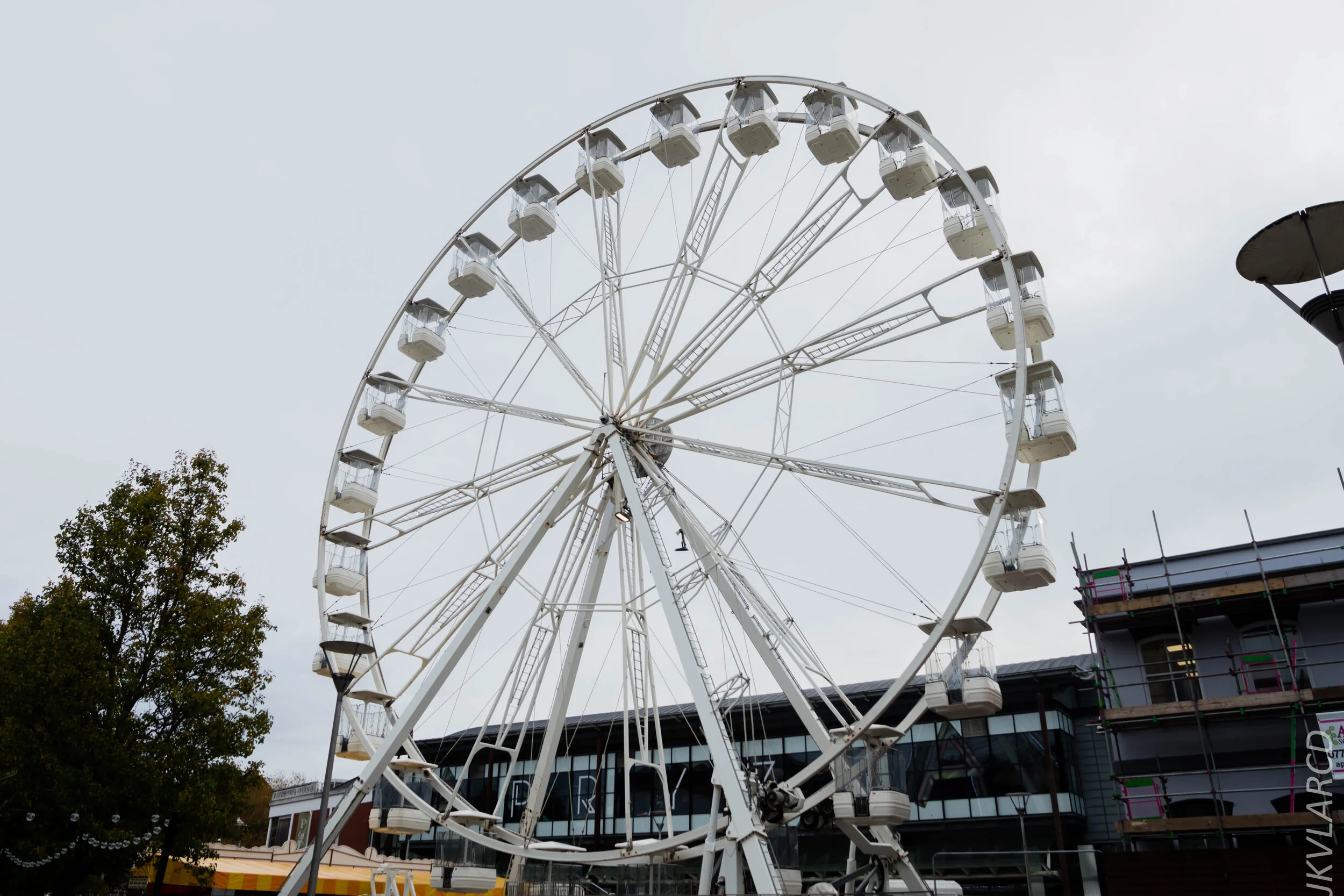 EOS 7D Mark II_2019_11_13_8248.jpg