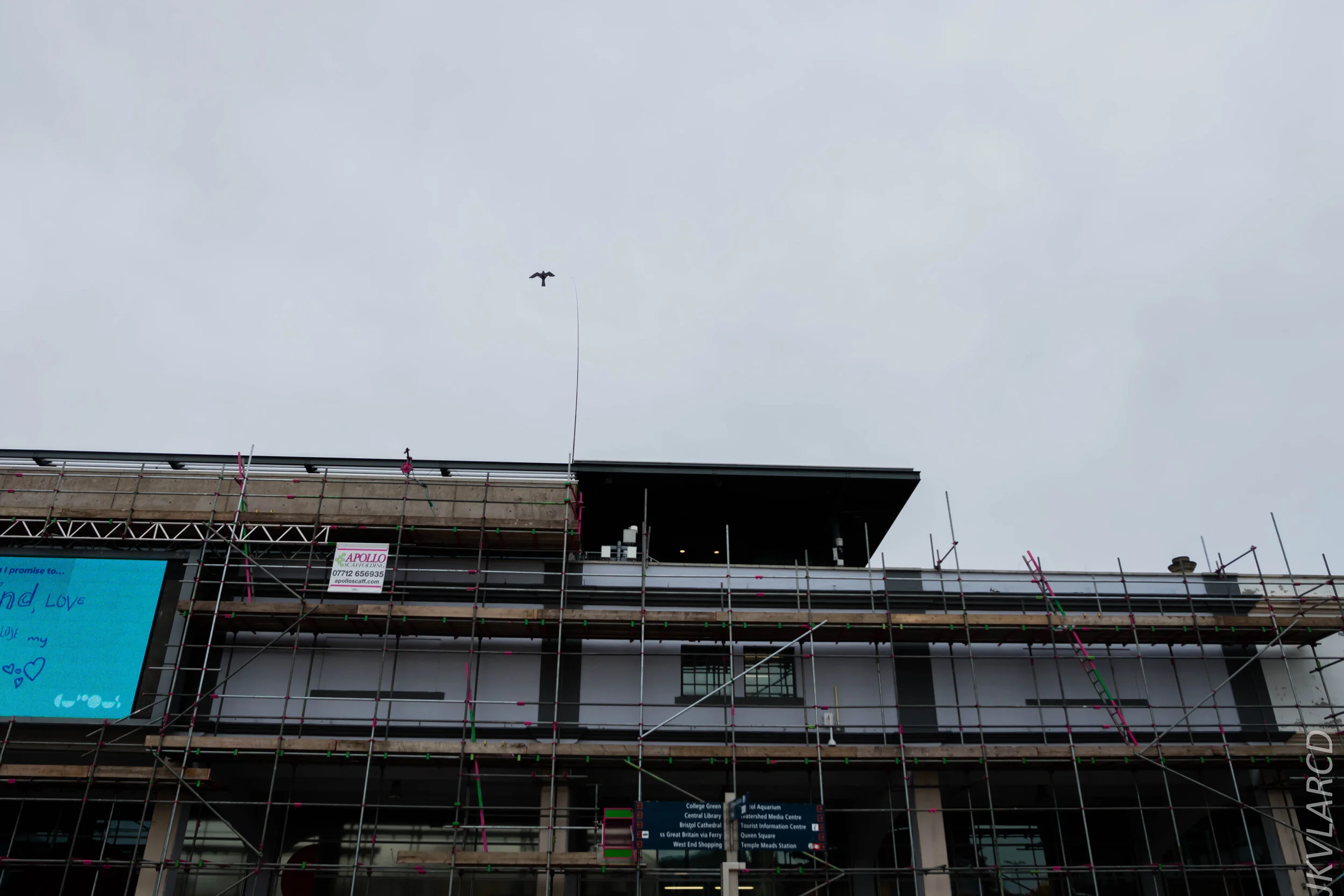 EOS 7D Mark II_2019_11_13_8252.jpg