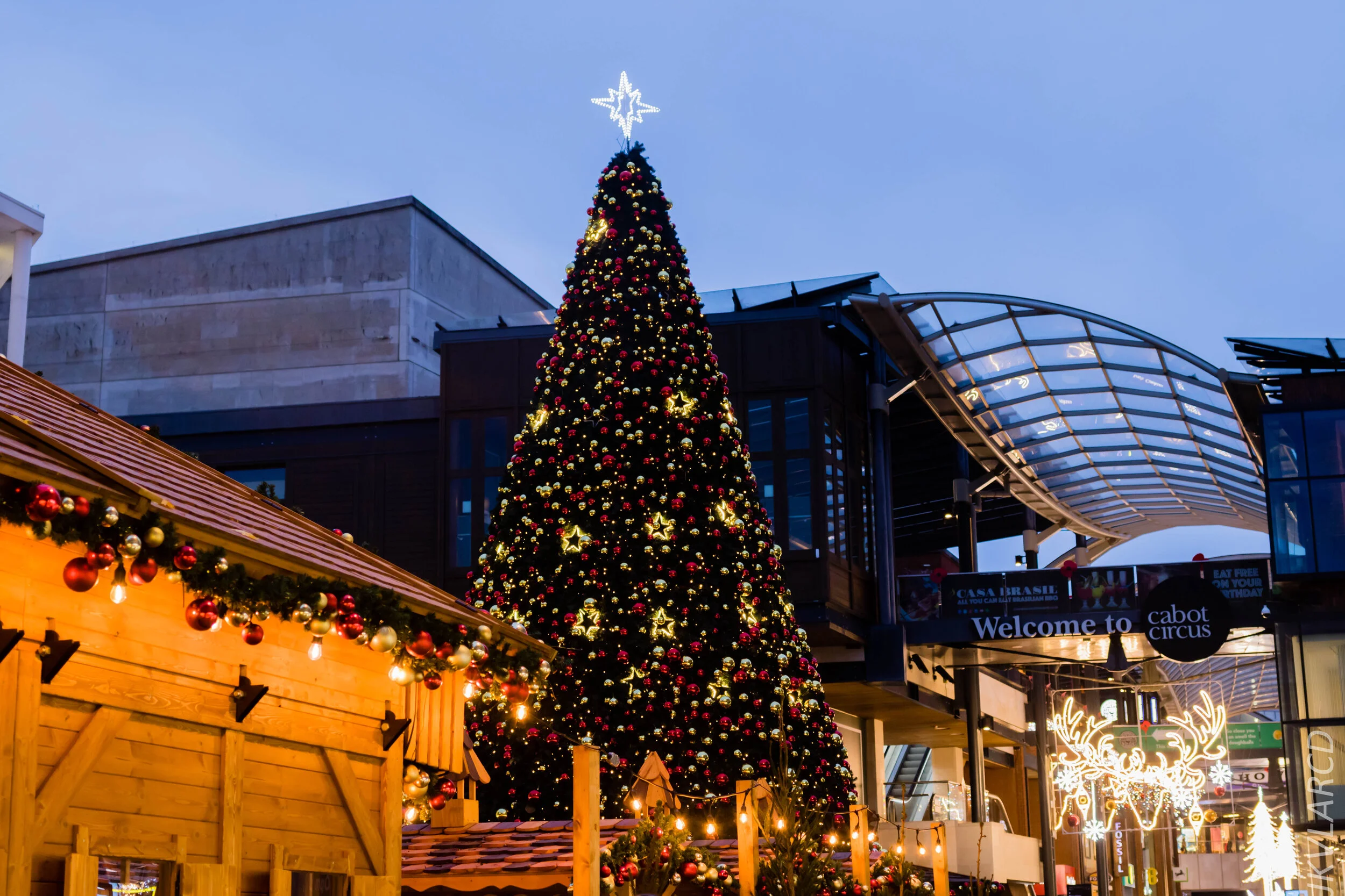 EOS 7D Mark II_2019_11_13_8264.jpg