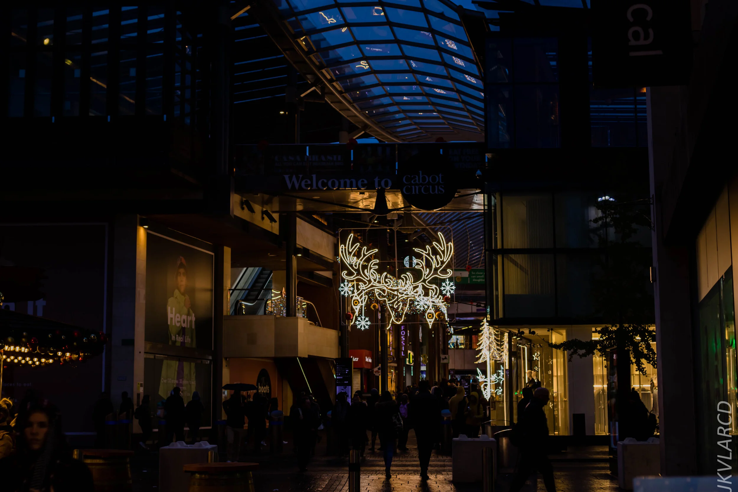 EOS 7D Mark II_2019_11_13_8265.jpg