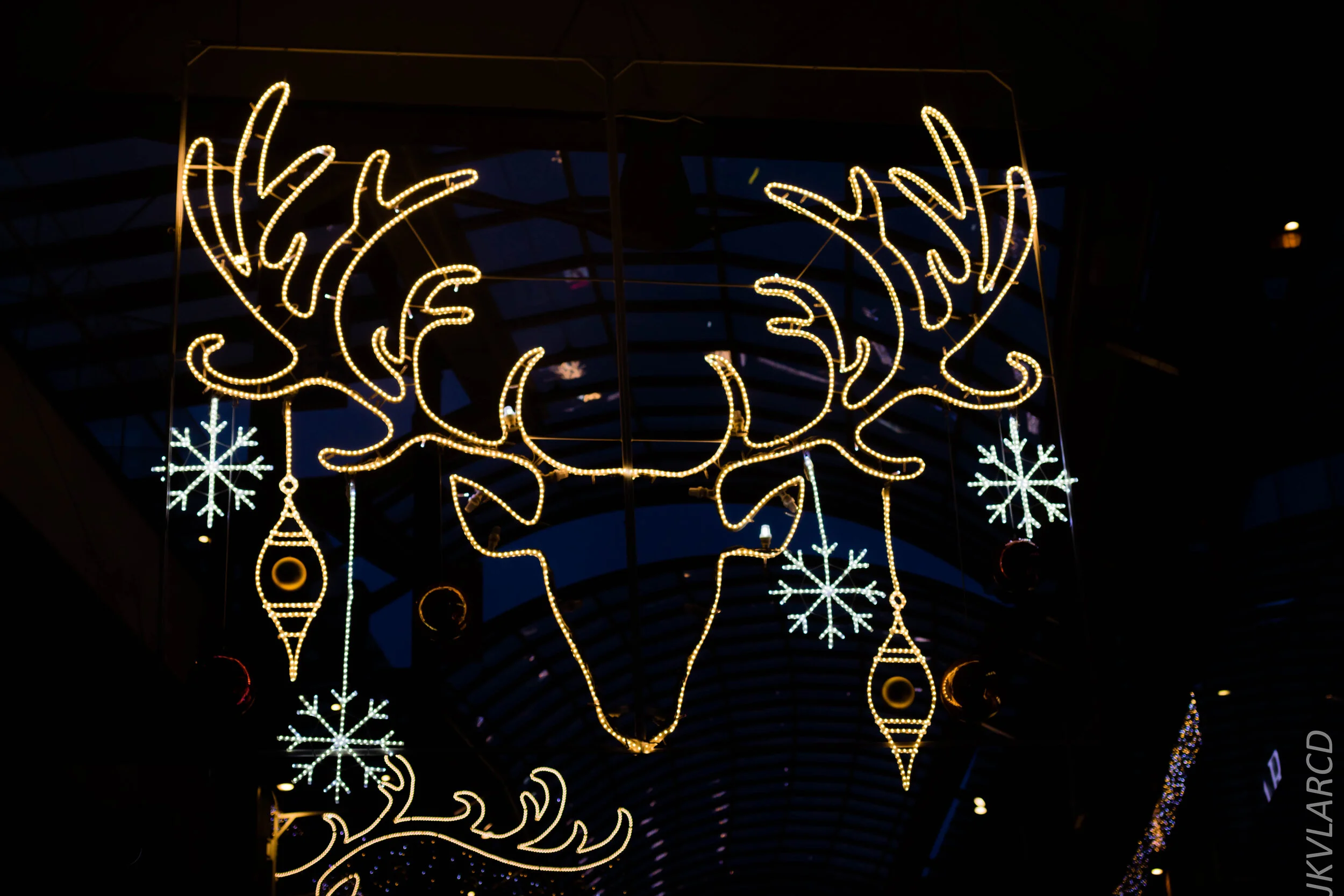 EOS 7D Mark II_2019_11_13_8266.jpg