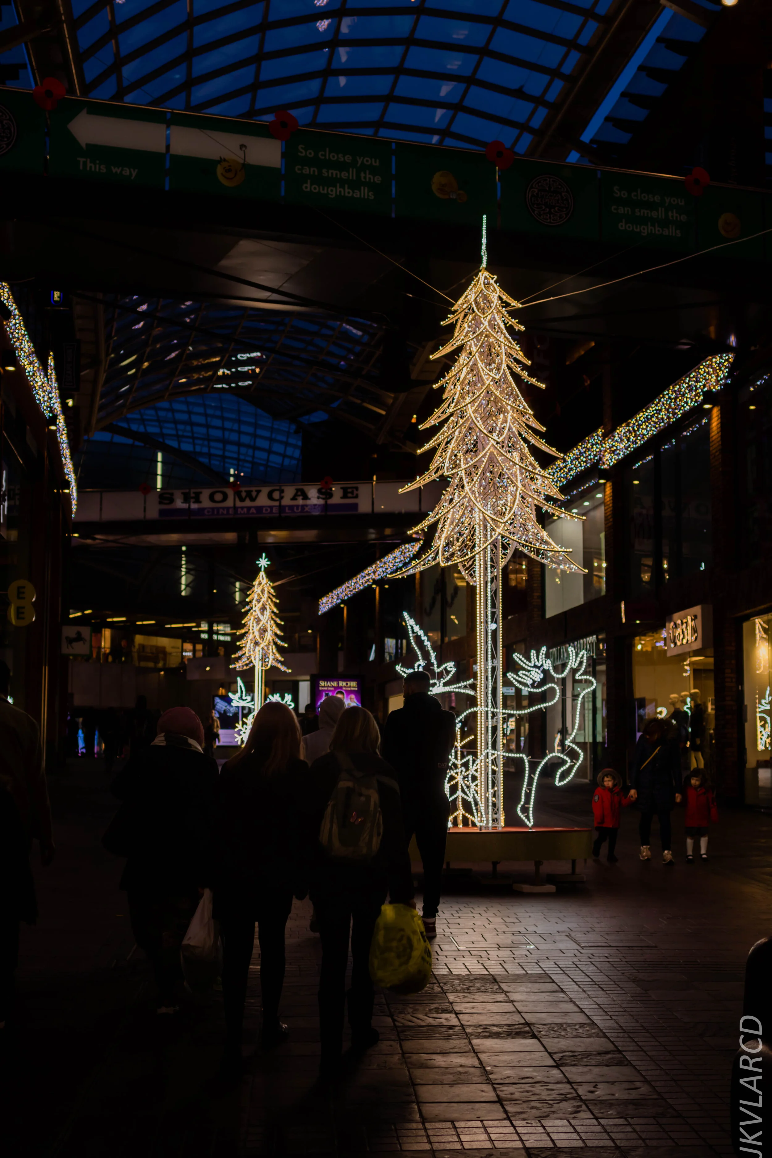 EOS 7D Mark II_2019_11_13_8267.jpg