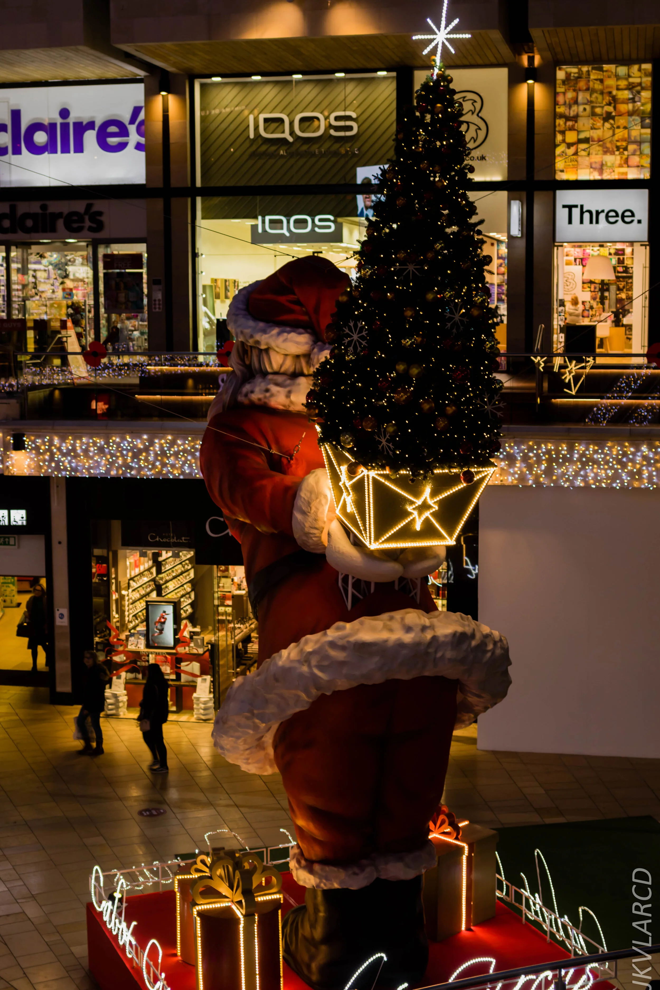 EOS 7D Mark II_2019_11_13_8268.jpg