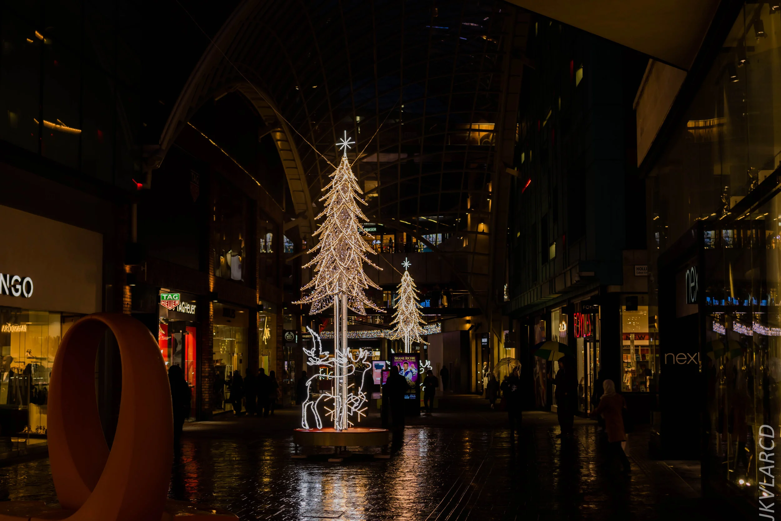 EOS 7D Mark II_2019_11_13_8269.jpg