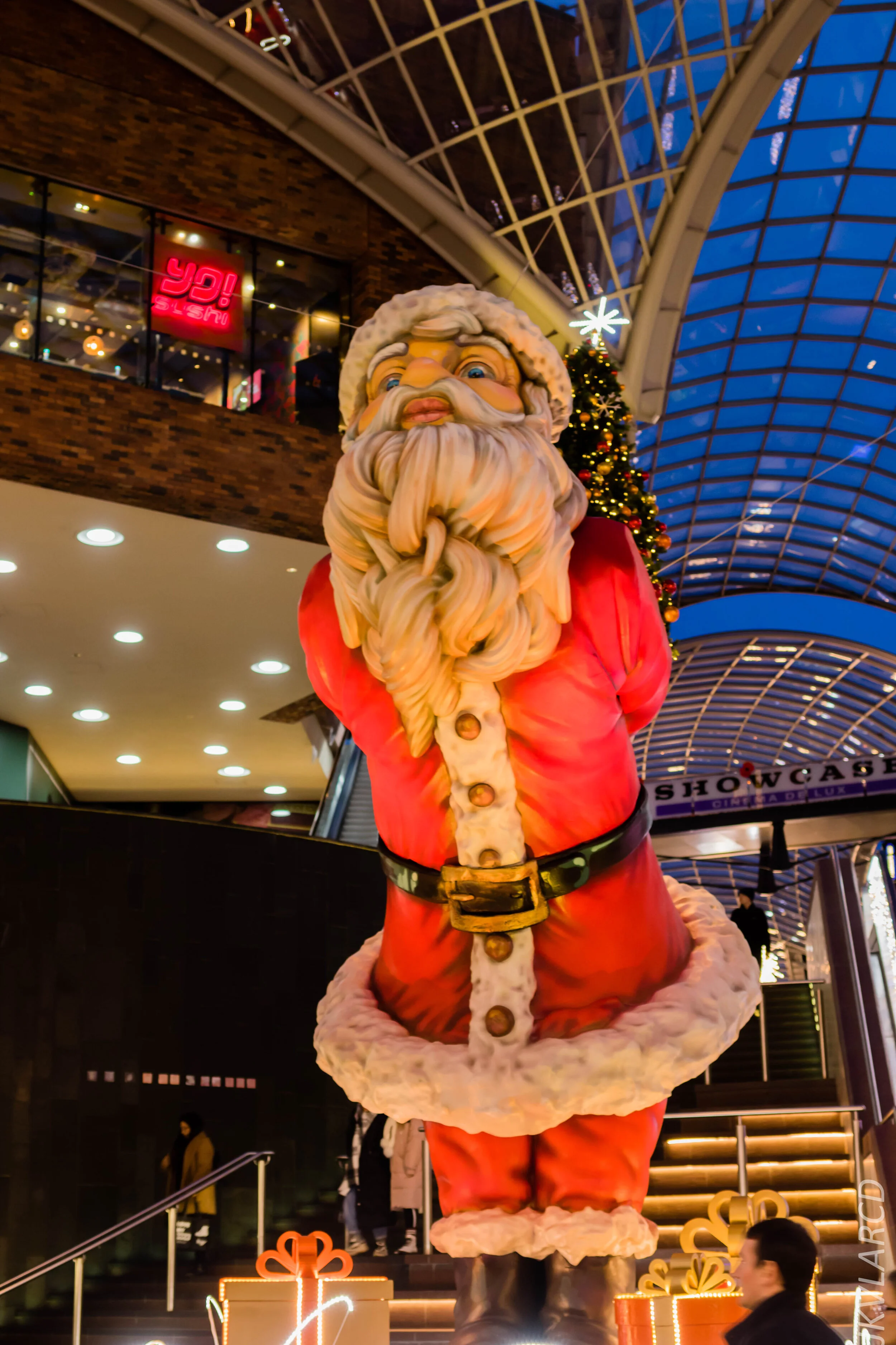 EOS 7D Mark II_2019_11_13_8270.jpg