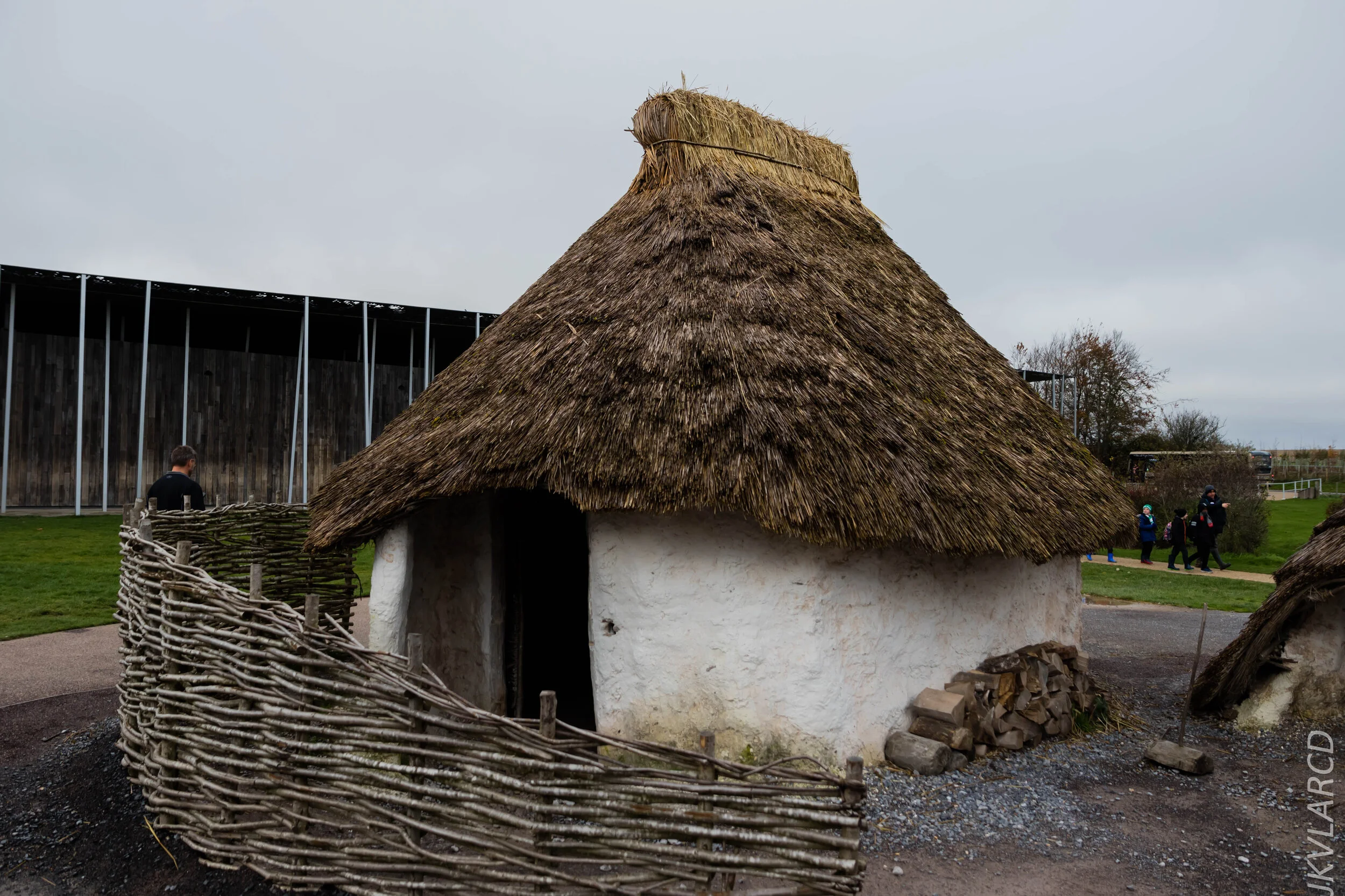 EOS 7D Mark II_2019_11_14_8275.jpg