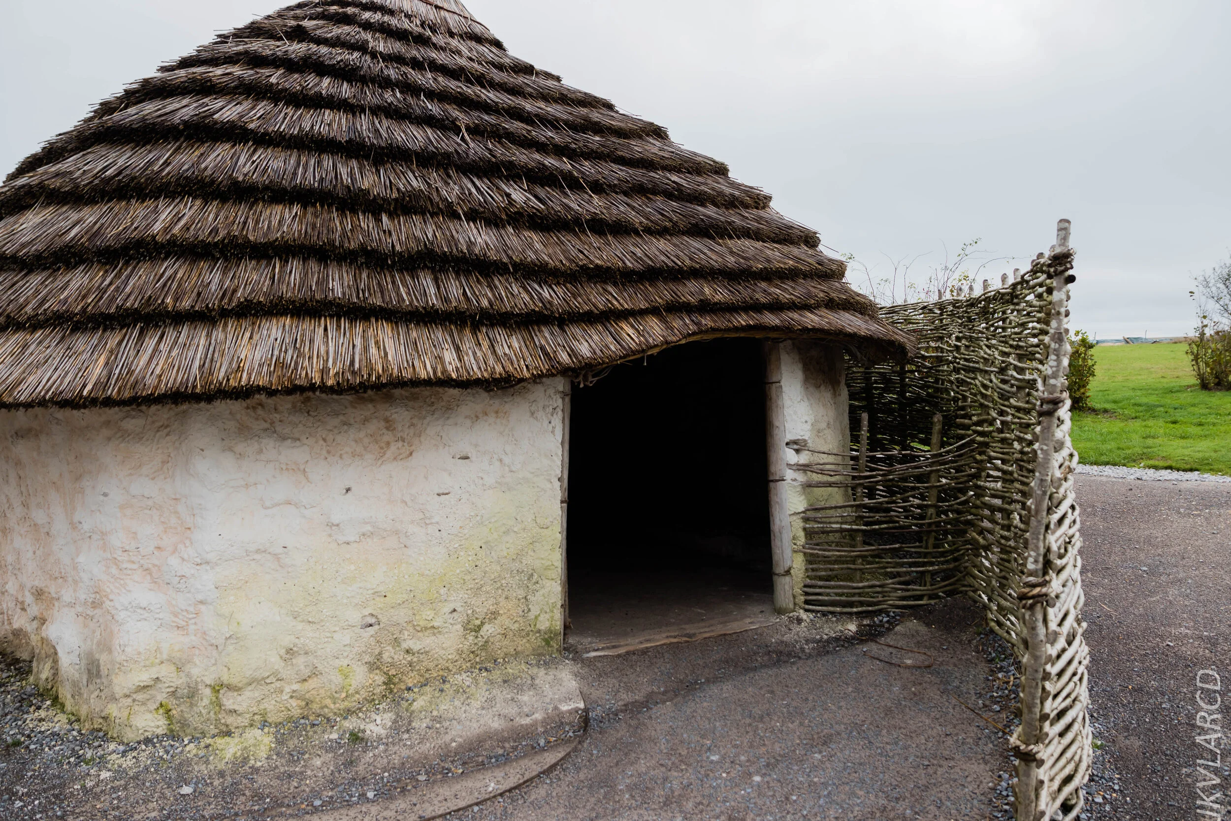 EOS 7D Mark II_2019_11_14_8276.jpg