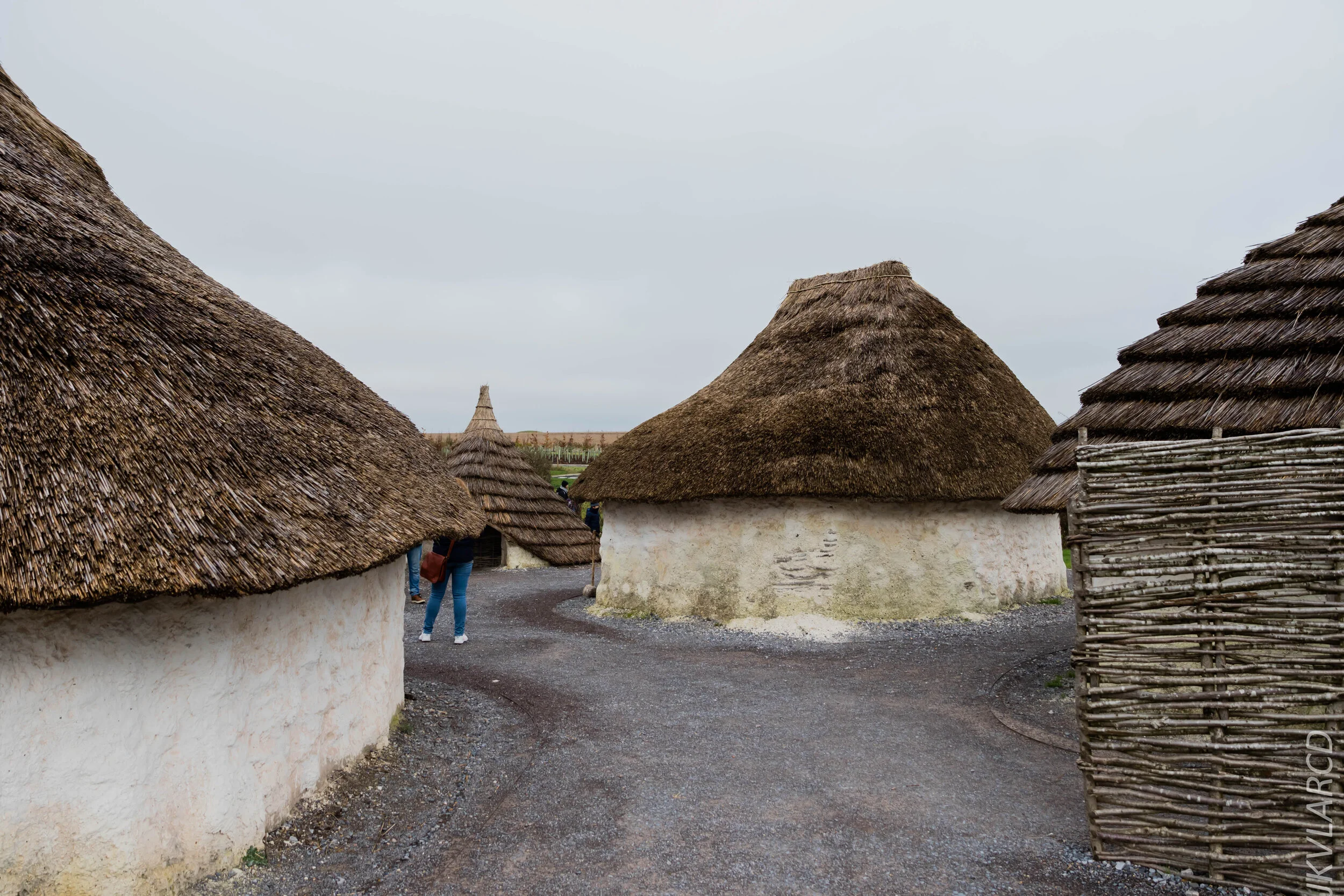 EOS 7D Mark II_2019_11_14_8277.jpg