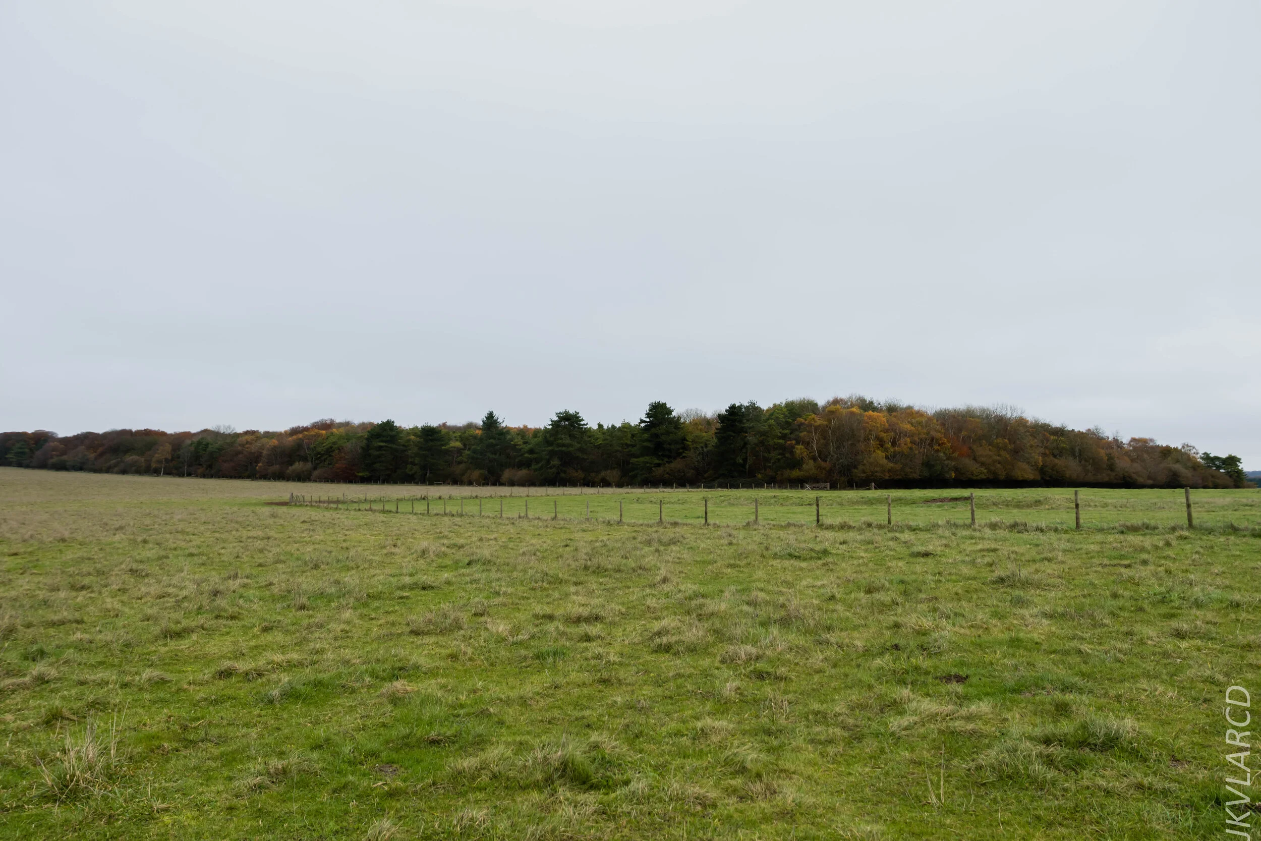 EOS 7D Mark II_2019_11_14_8281.jpg