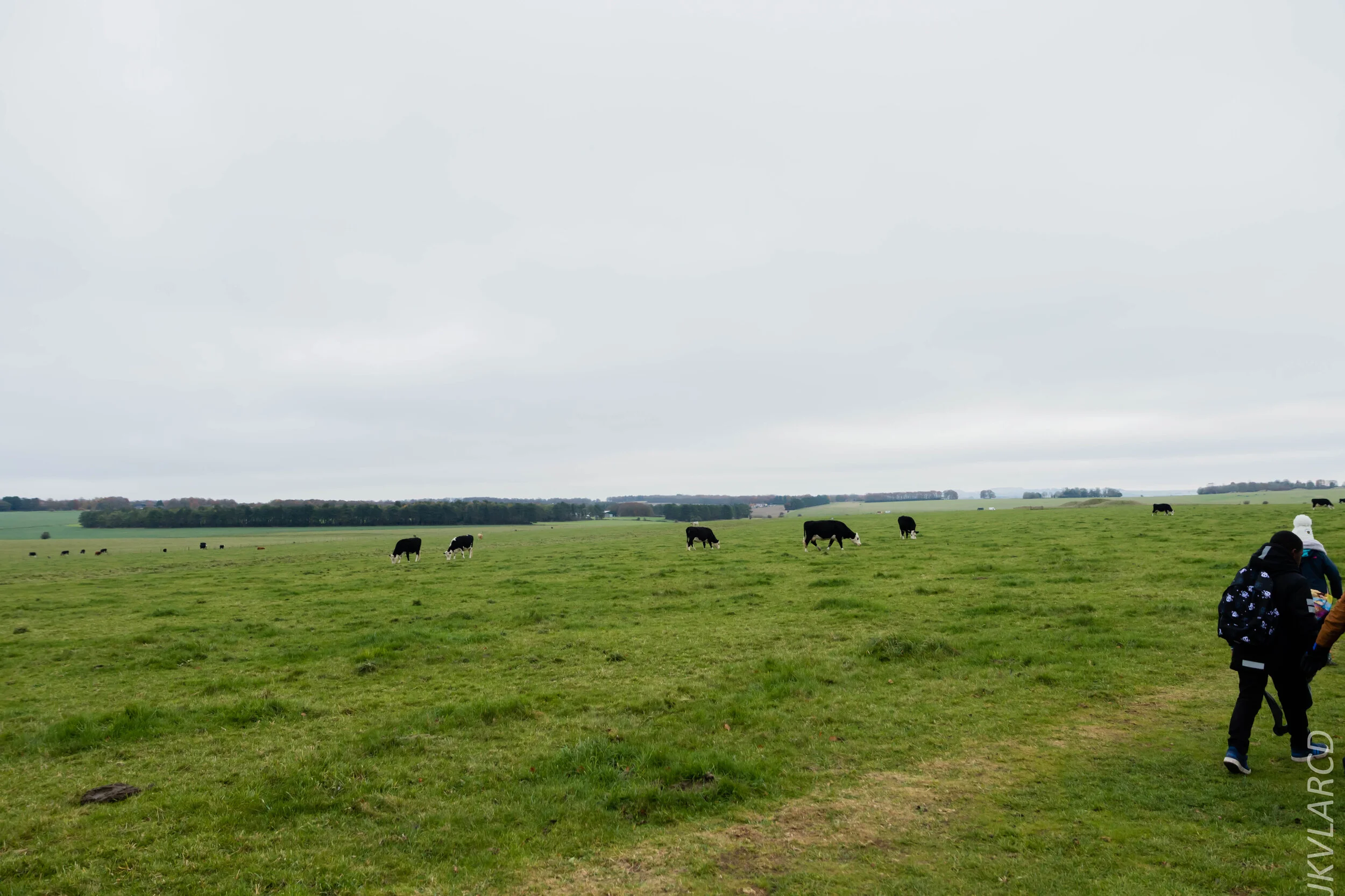 EOS 7D Mark II_2019_11_14_8282.jpg