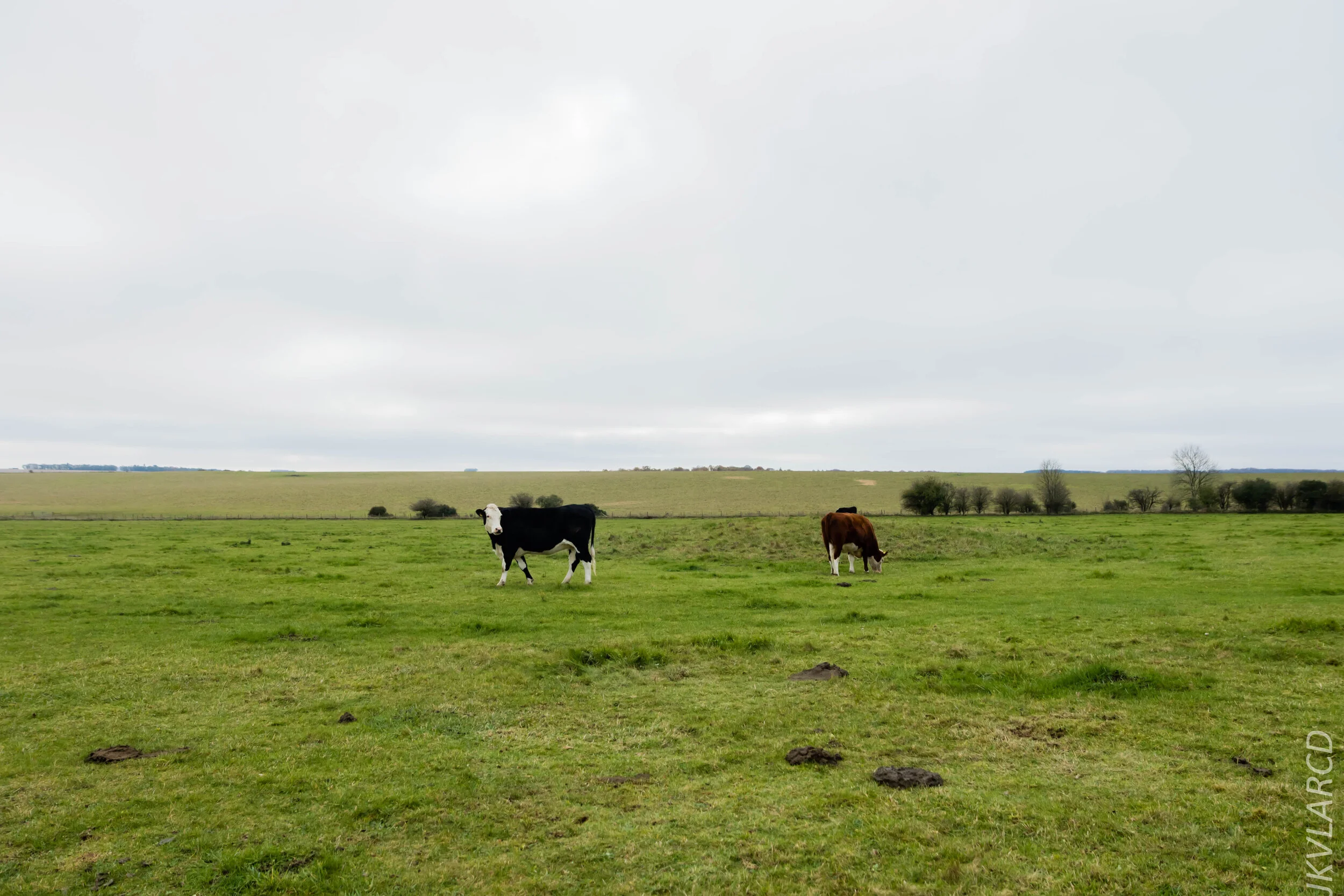 EOS 7D Mark II_2019_11_14_8283.jpg