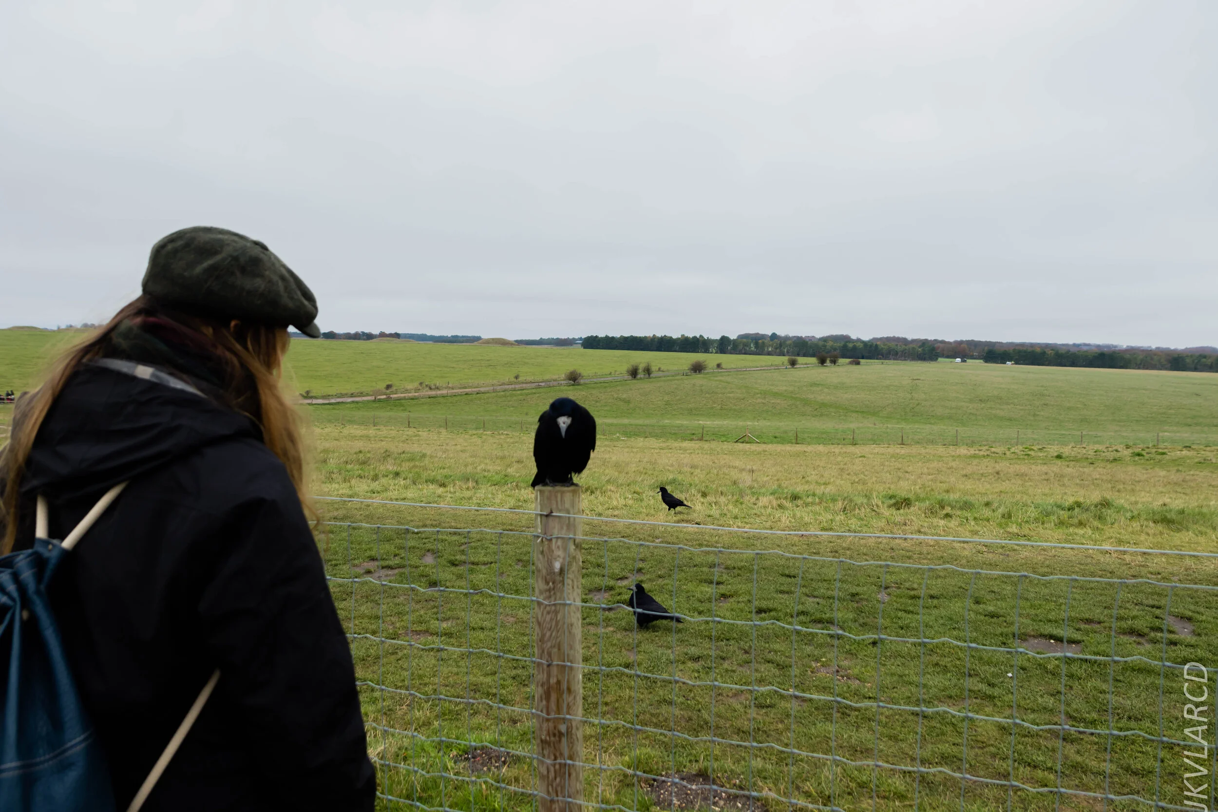 EOS 7D Mark II_2019_11_14_8286.jpg