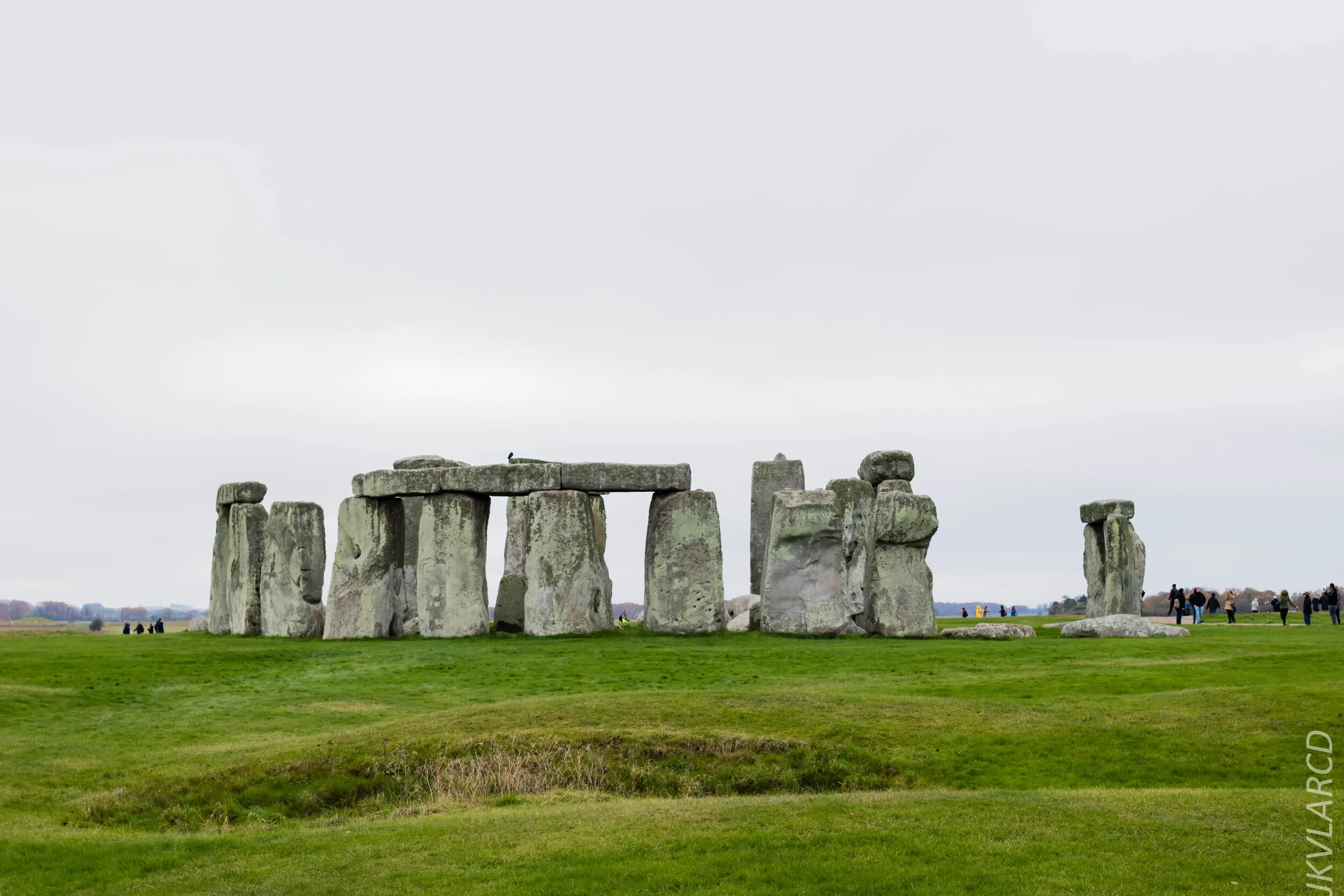 EOS 7D Mark II_2019_11_14_8292.jpg