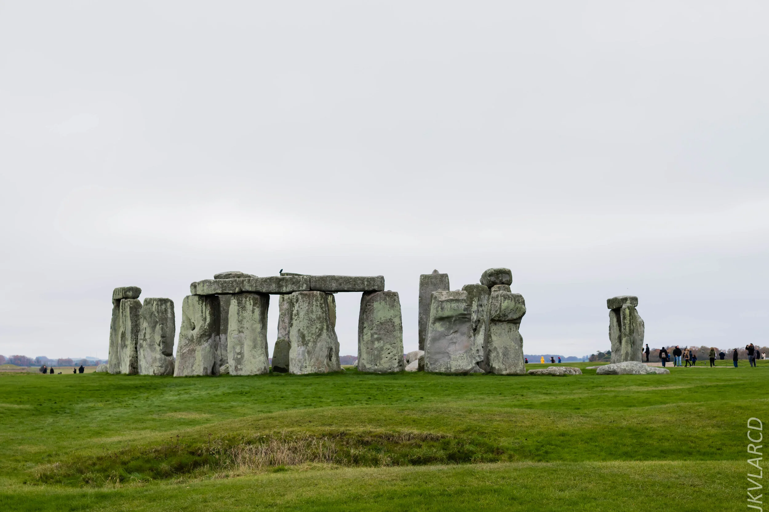 EOS 7D Mark II_2019_11_14_8293.jpg