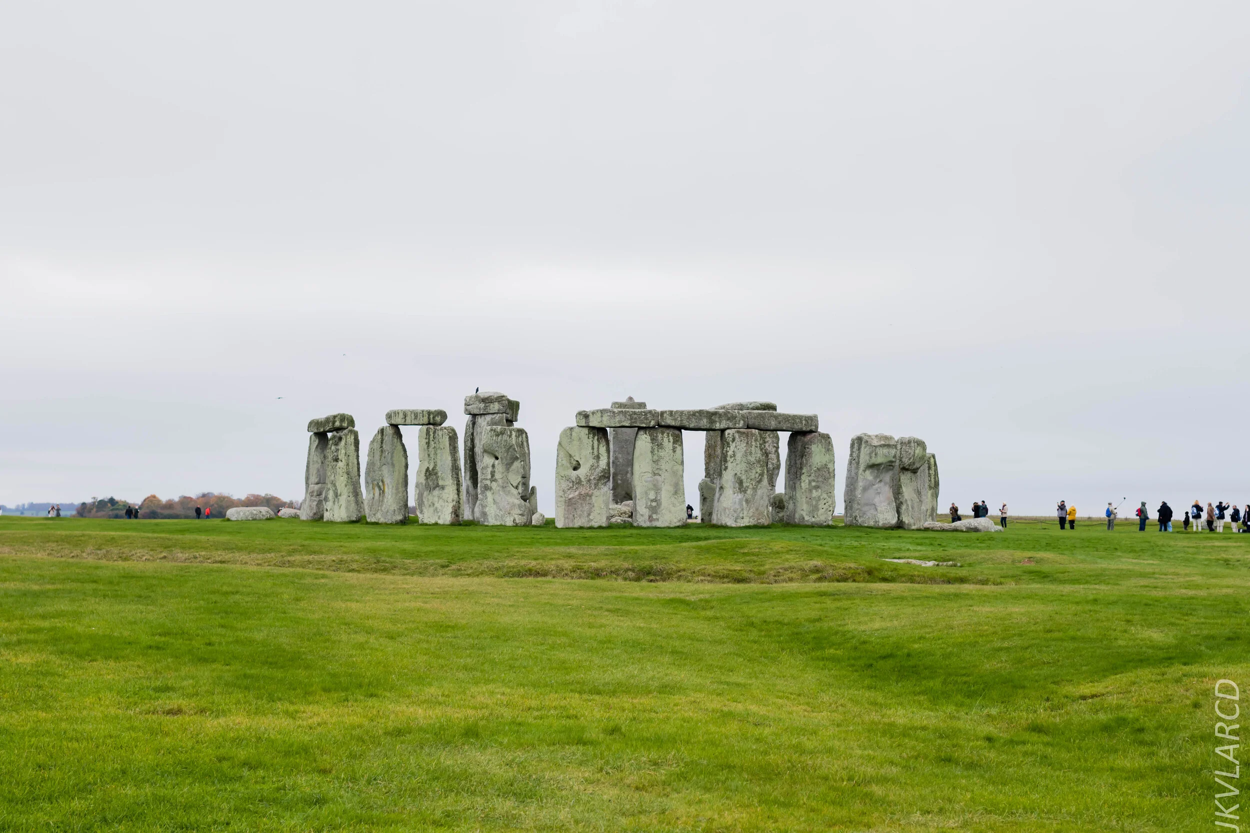 EOS 7D Mark II_2019_11_14_8294.jpg