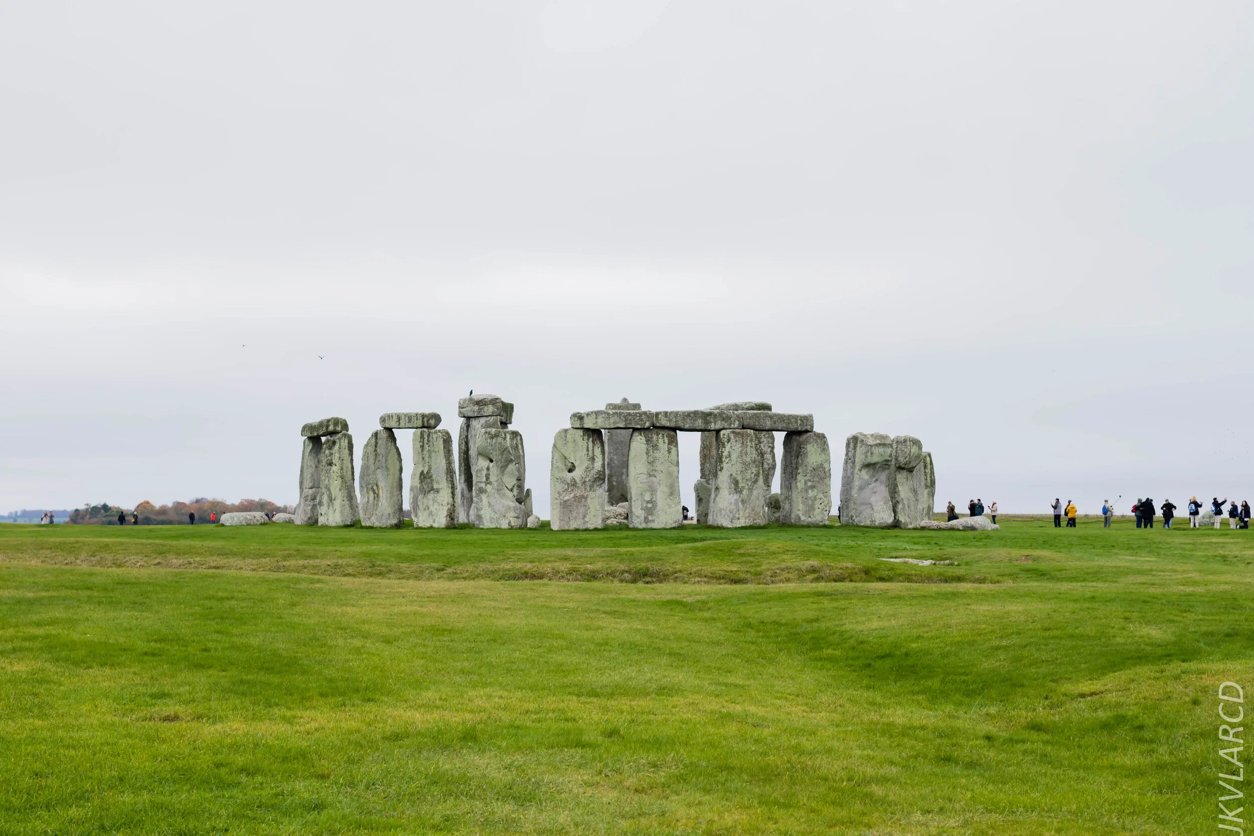 EOS 7D Mark II_2019_11_14_8296.jpg