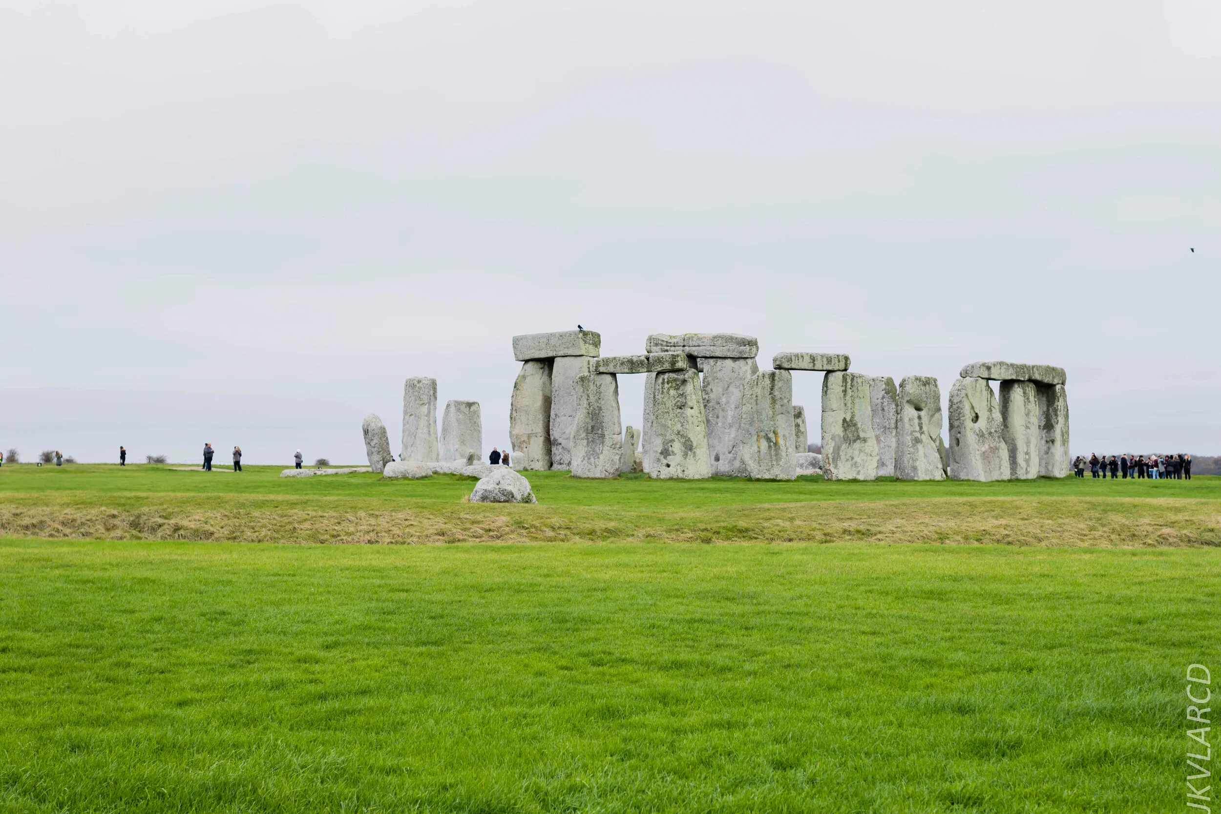 EOS 7D Mark II_2019_11_14_8302.jpg