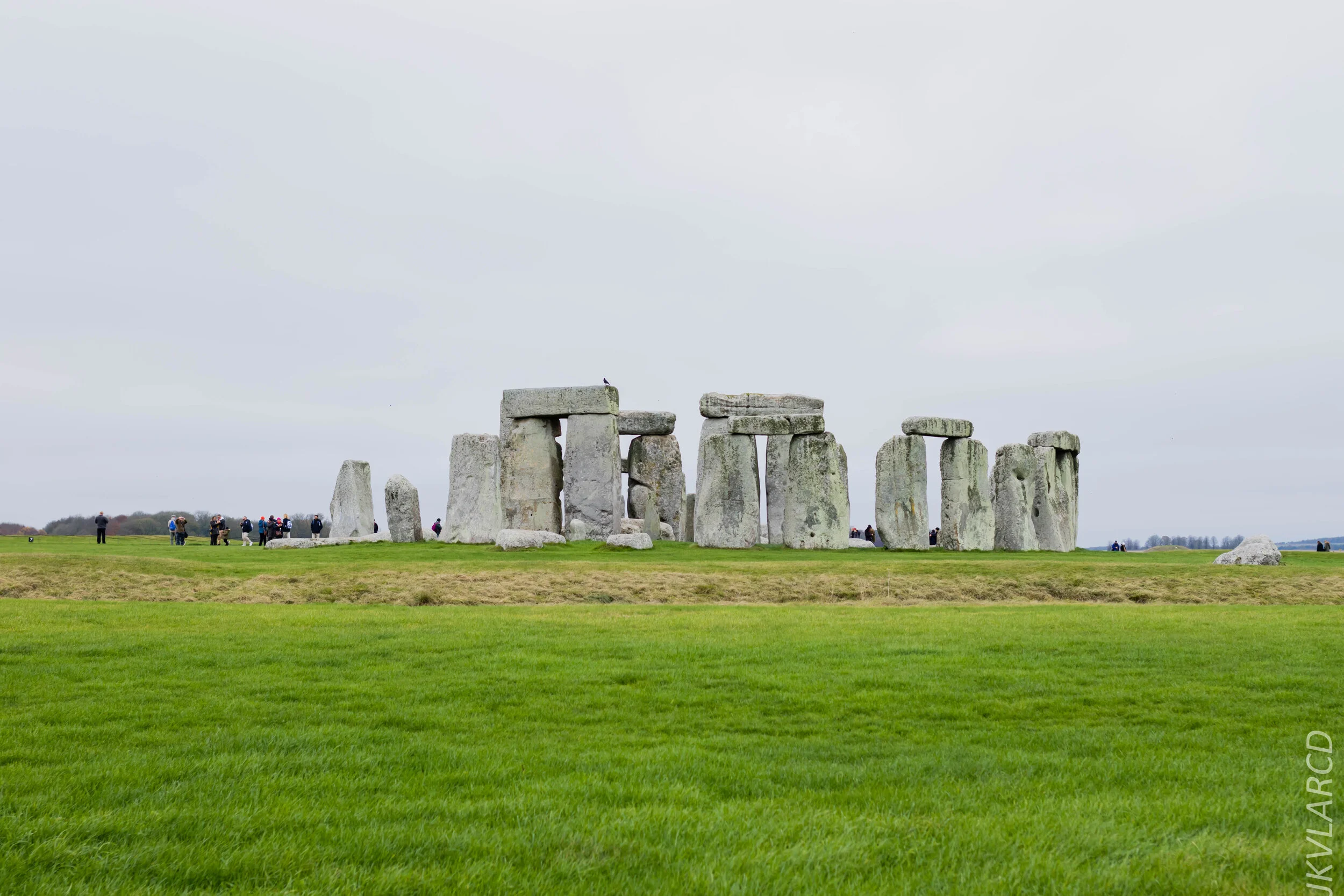 EOS 7D Mark II_2019_11_14_8303.jpg