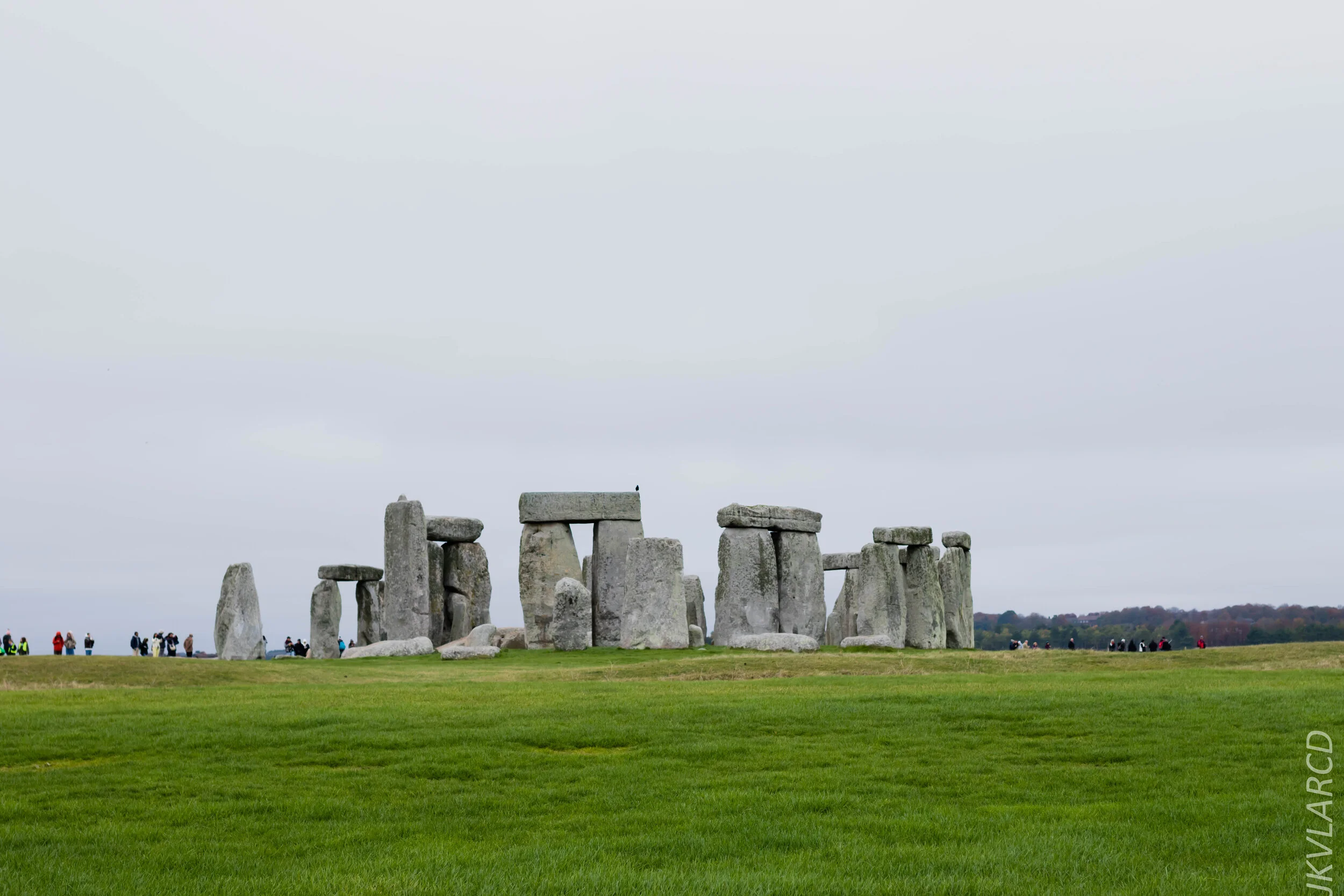 EOS 7D Mark II_2019_11_14_8305.jpg