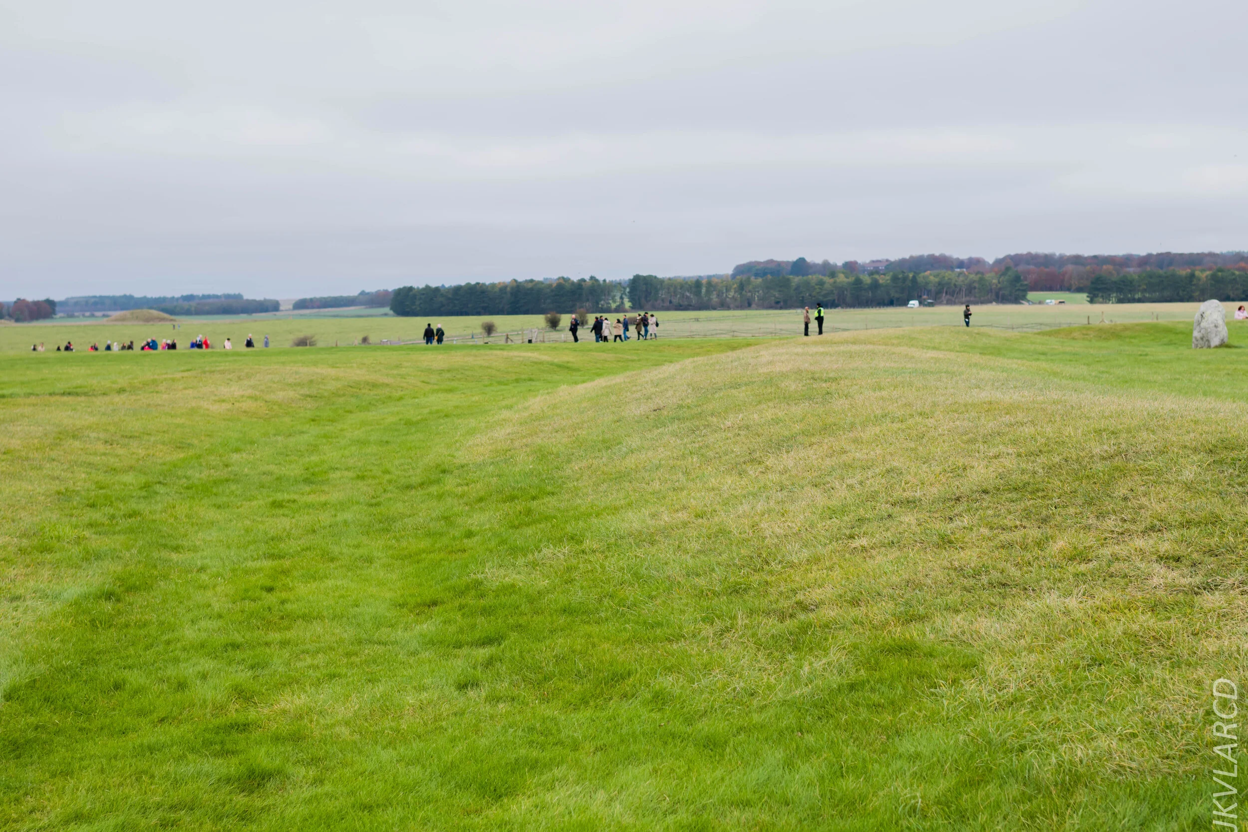 EOS 7D Mark II_2019_11_14_8307.jpg