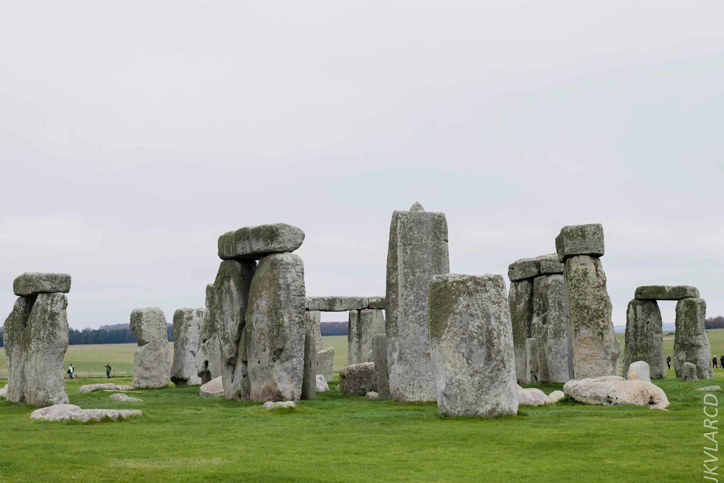 EOS 7D Mark II_2019_11_14_8313.jpg