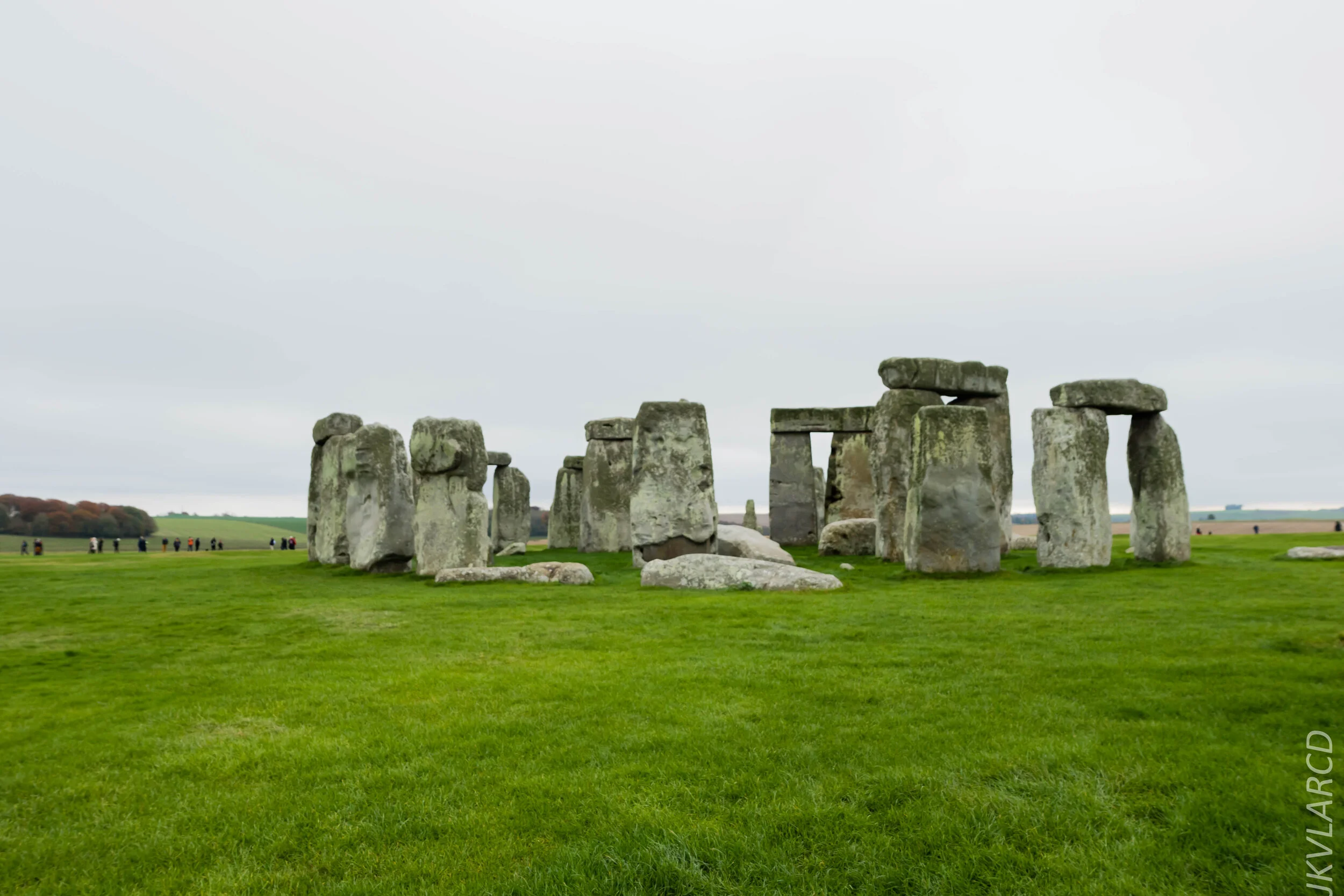 EOS 7D Mark II_2019_11_14_8321.jpg