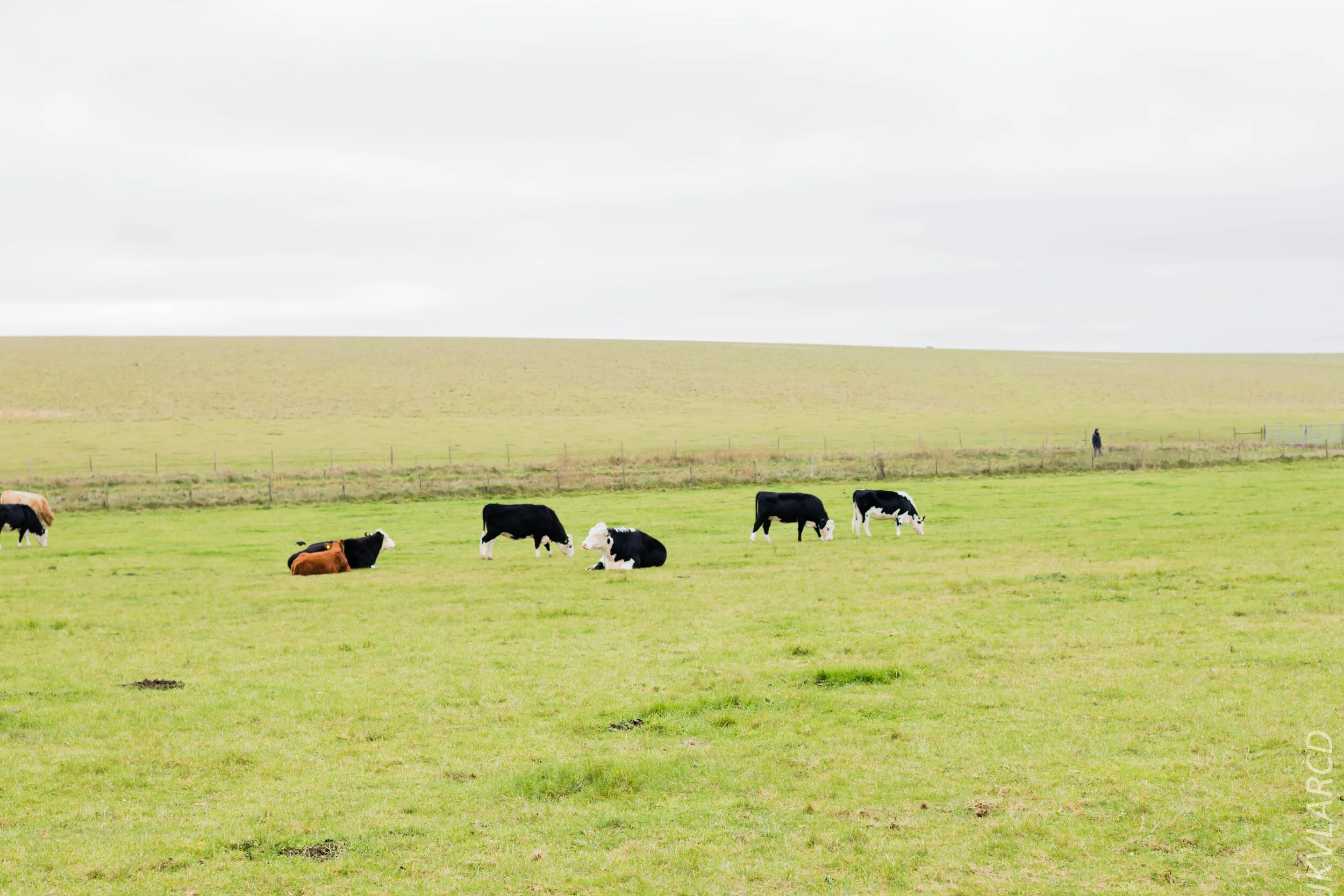 EOS 7D Mark II_2019_11_14_8330.jpg