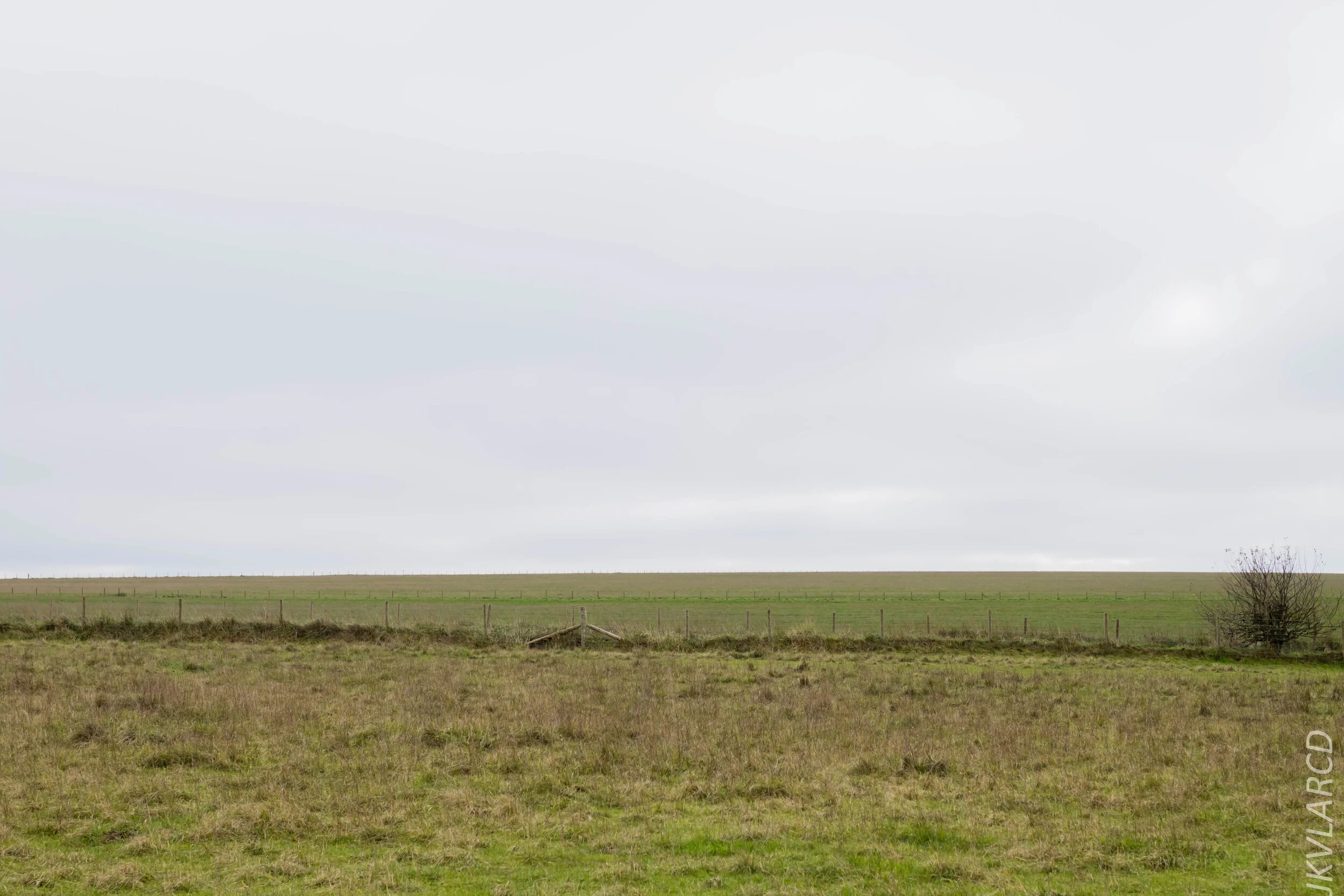 EOS 7D Mark II_2019_11_14_8335.jpg