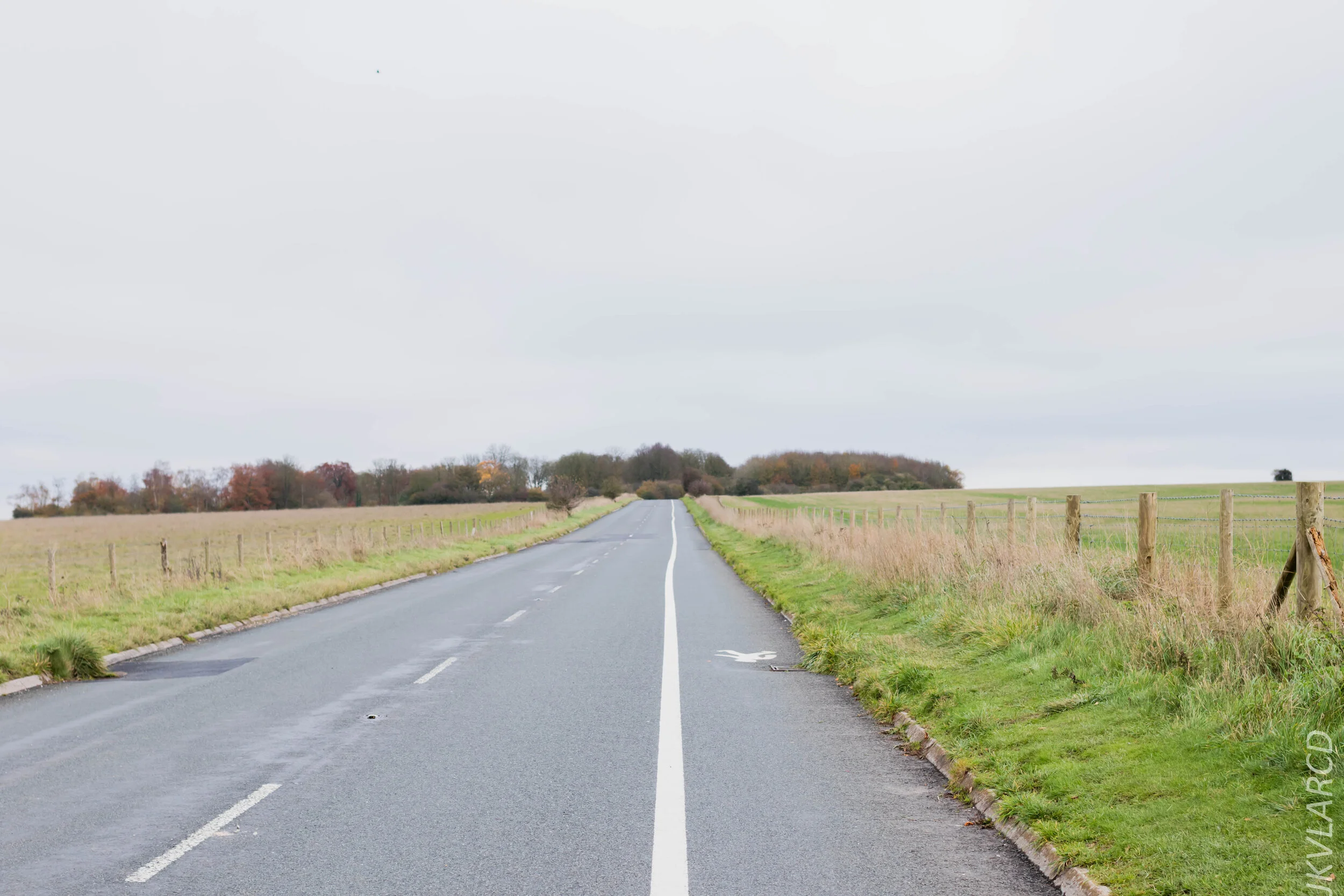 EOS 7D Mark II_2019_11_14_8337.jpg