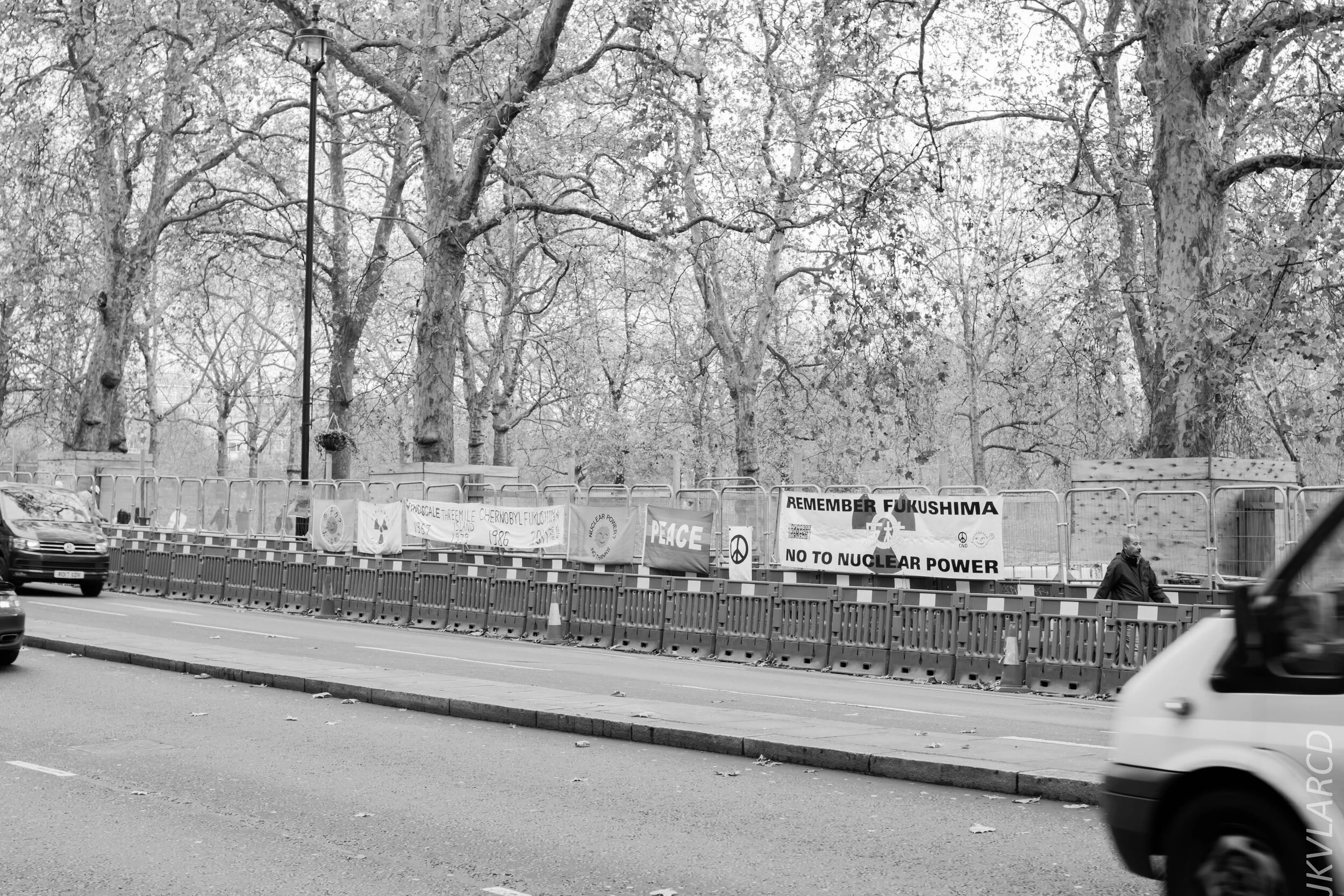 EOS 7D Mark II_2019_11_15_8341.jpg