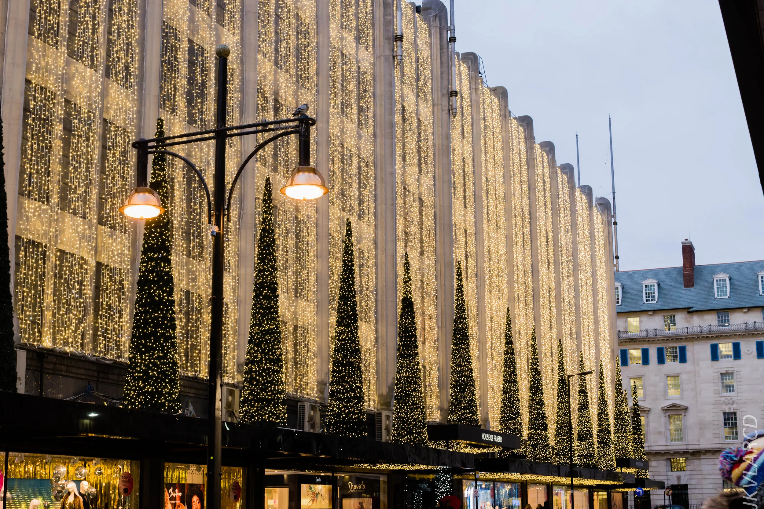 EOS 7D Mark II_2019_11_15_8349.jpg