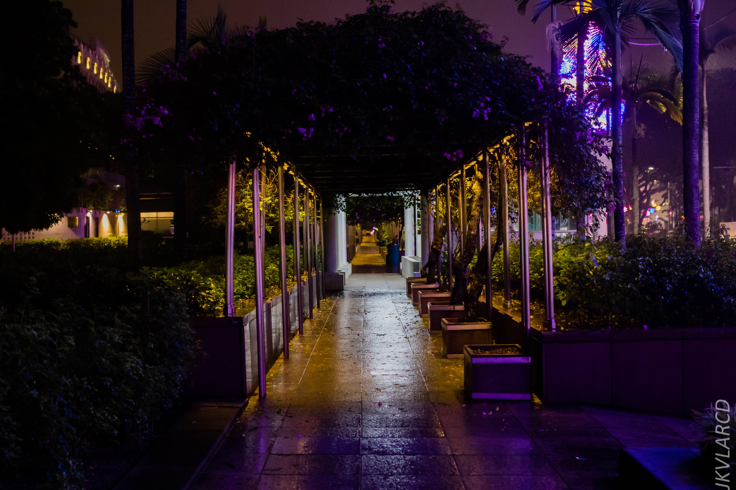 EOS 7D Mark II_2019_12_14_8948.jpg