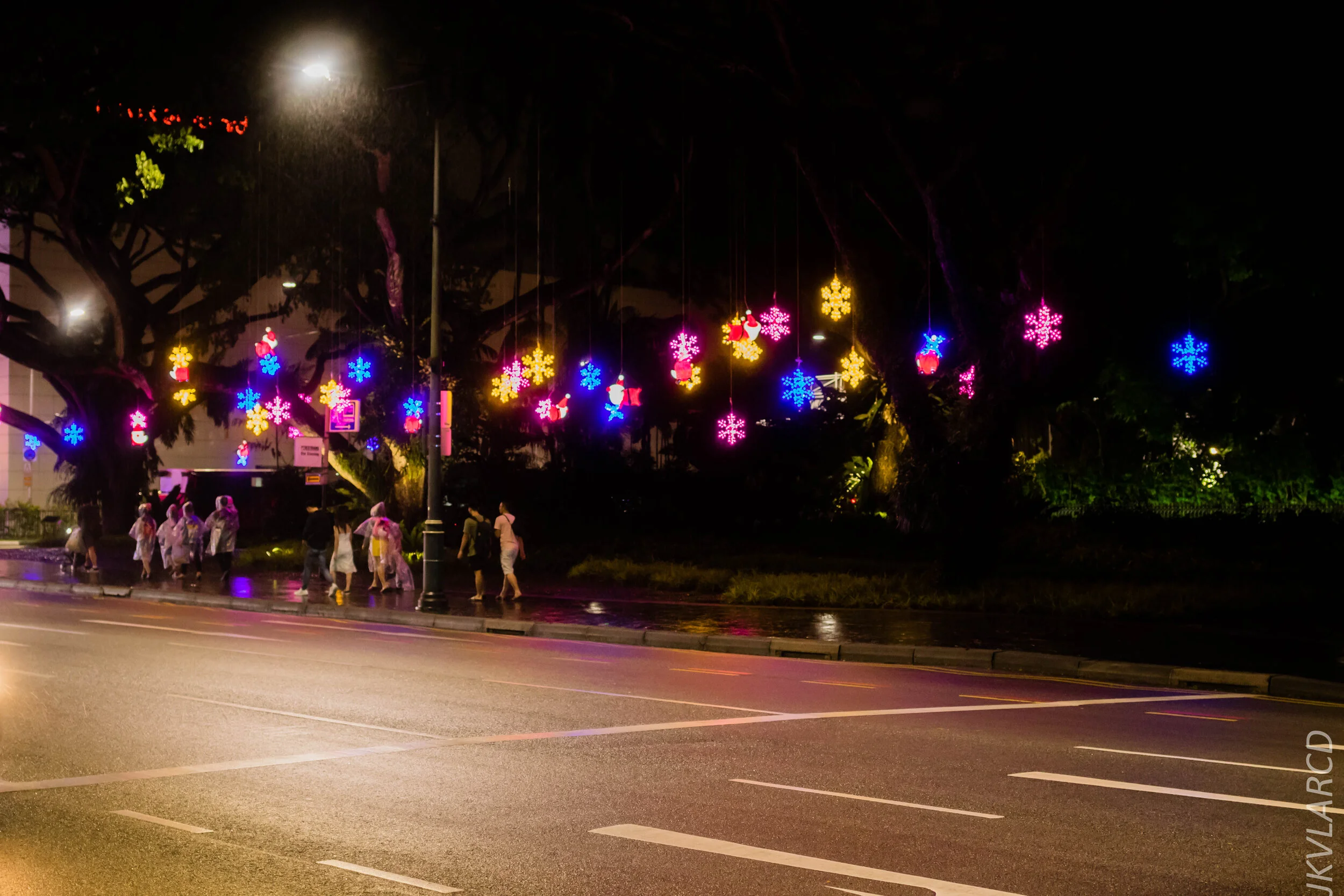 EOS 7D Mark II_2019_12_14_8950.jpg