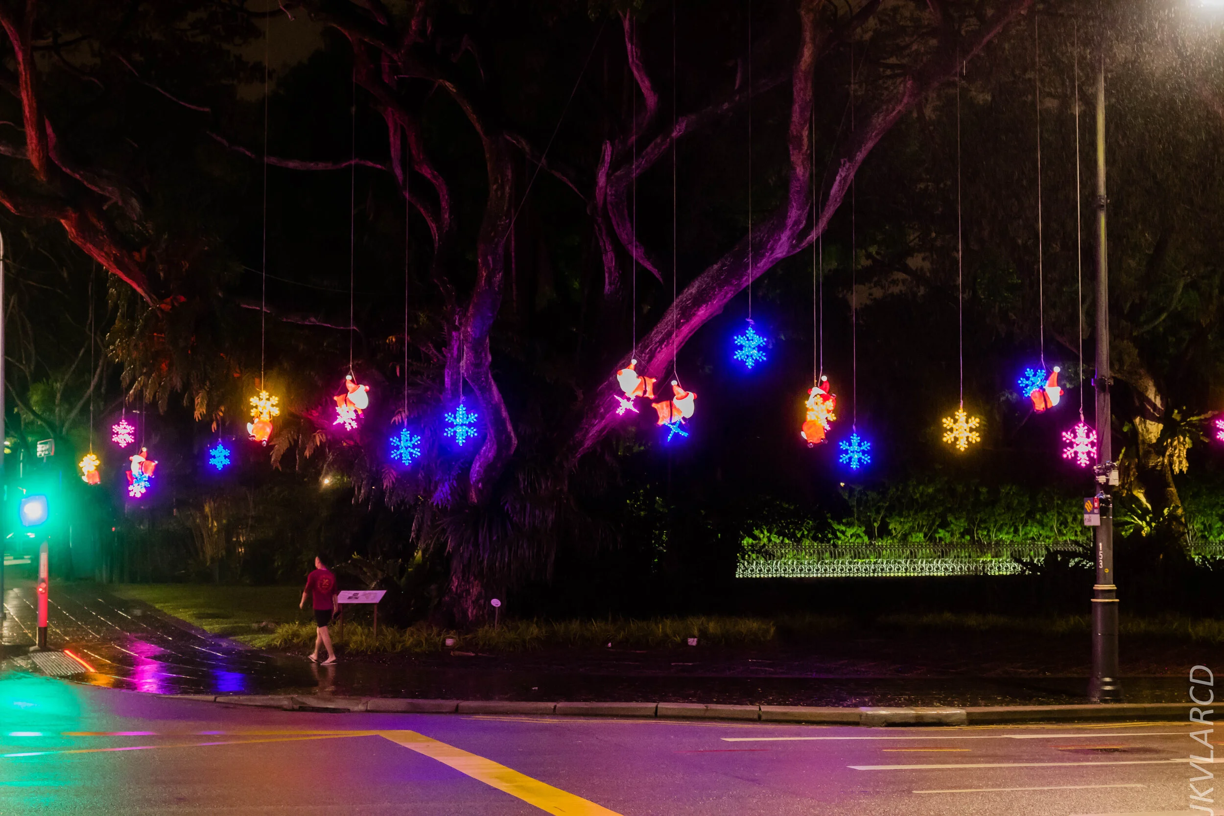 EOS 7D Mark II_2019_12_14_8952.jpg