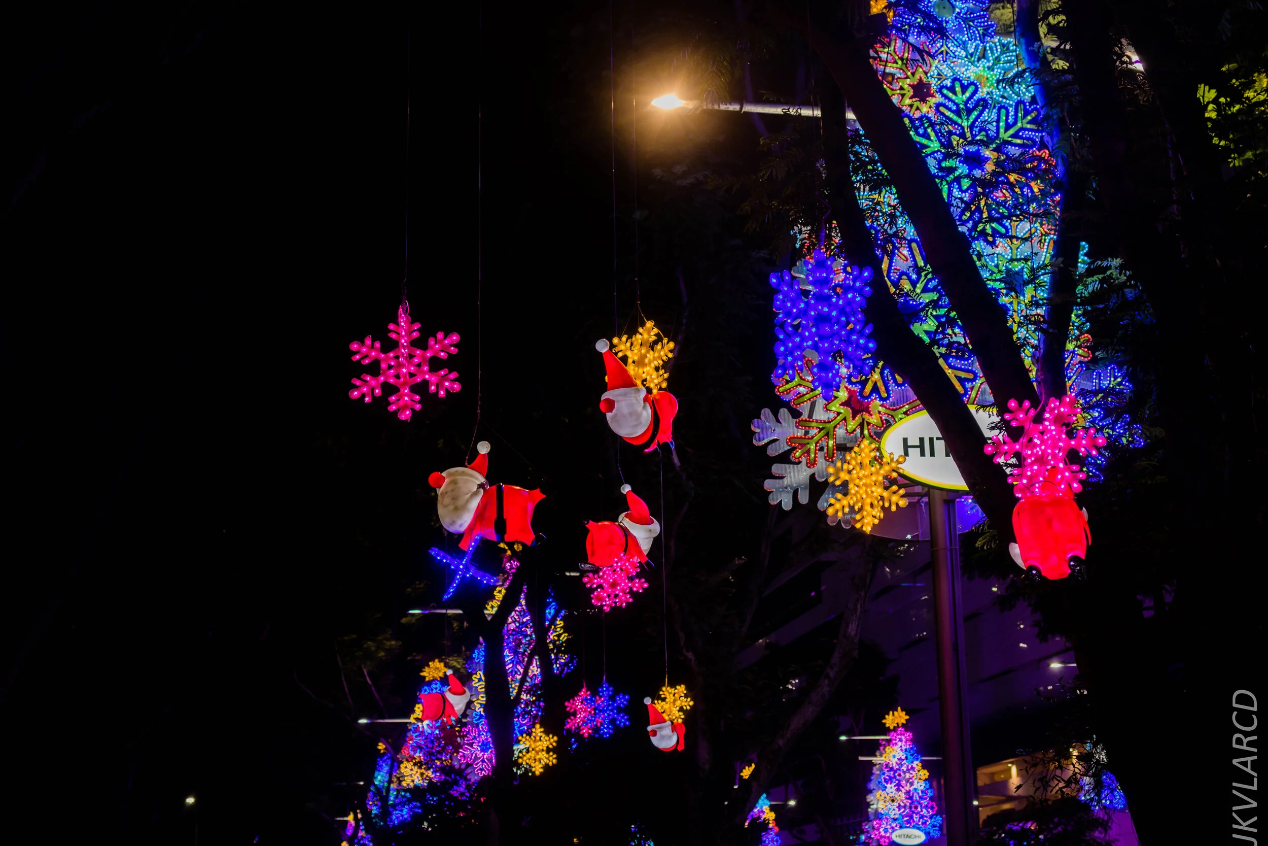 EOS 7D Mark II_2019_12_14_8953.jpg