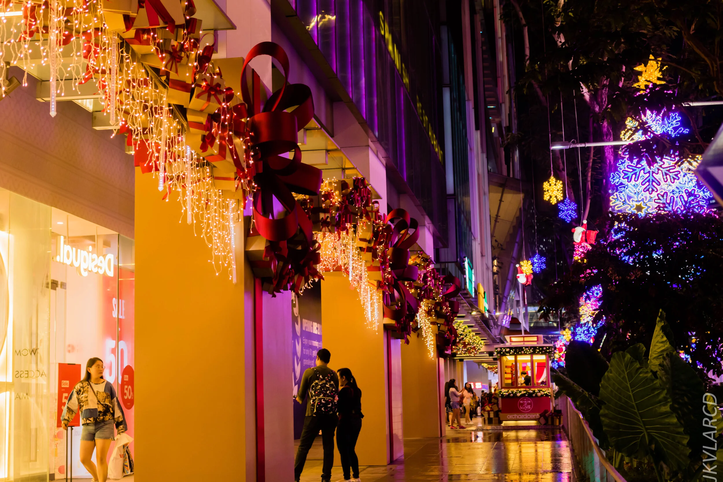 EOS 7D Mark II_2019_12_14_8958.jpg