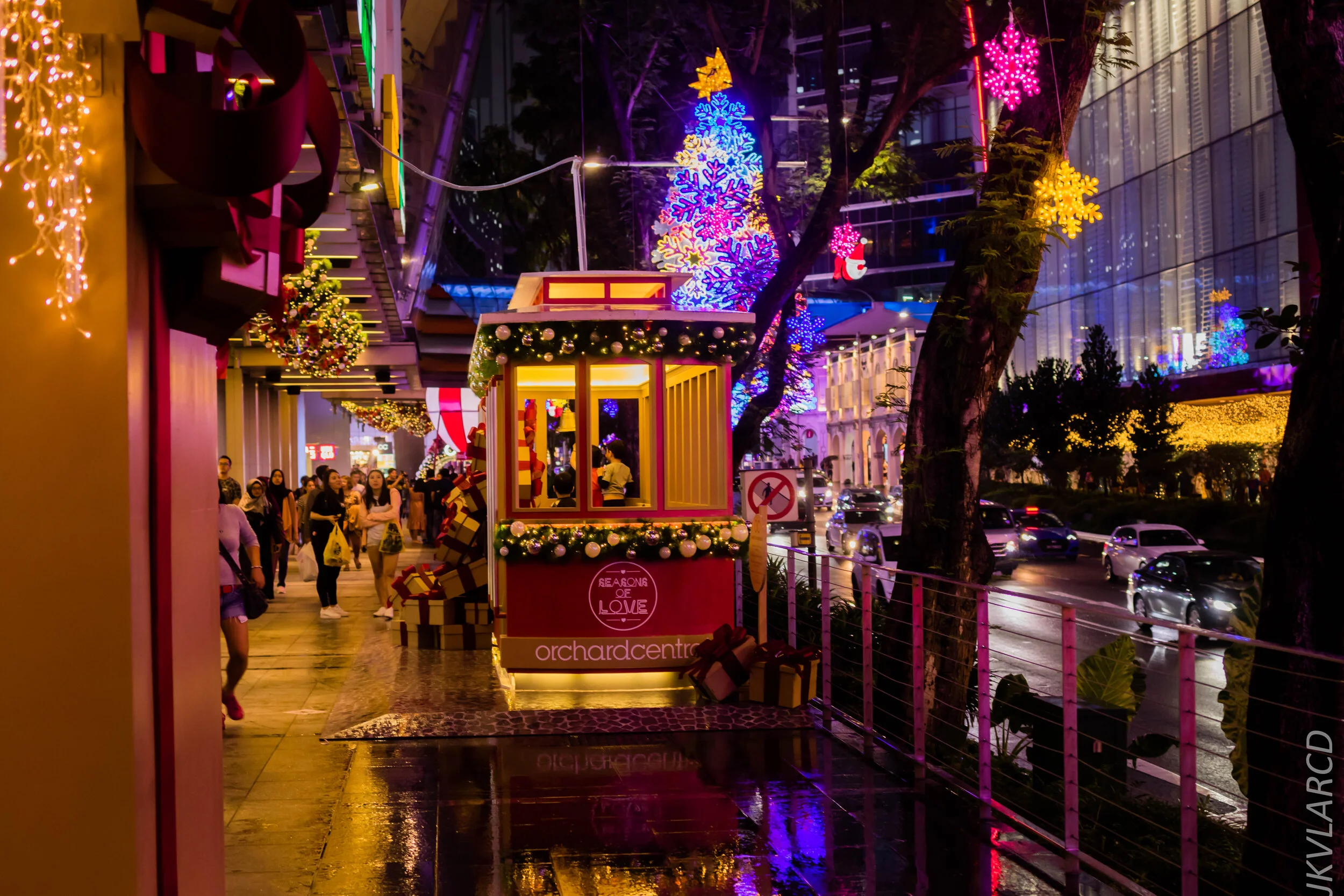 EOS 7D Mark II_2019_12_14_8959.jpg