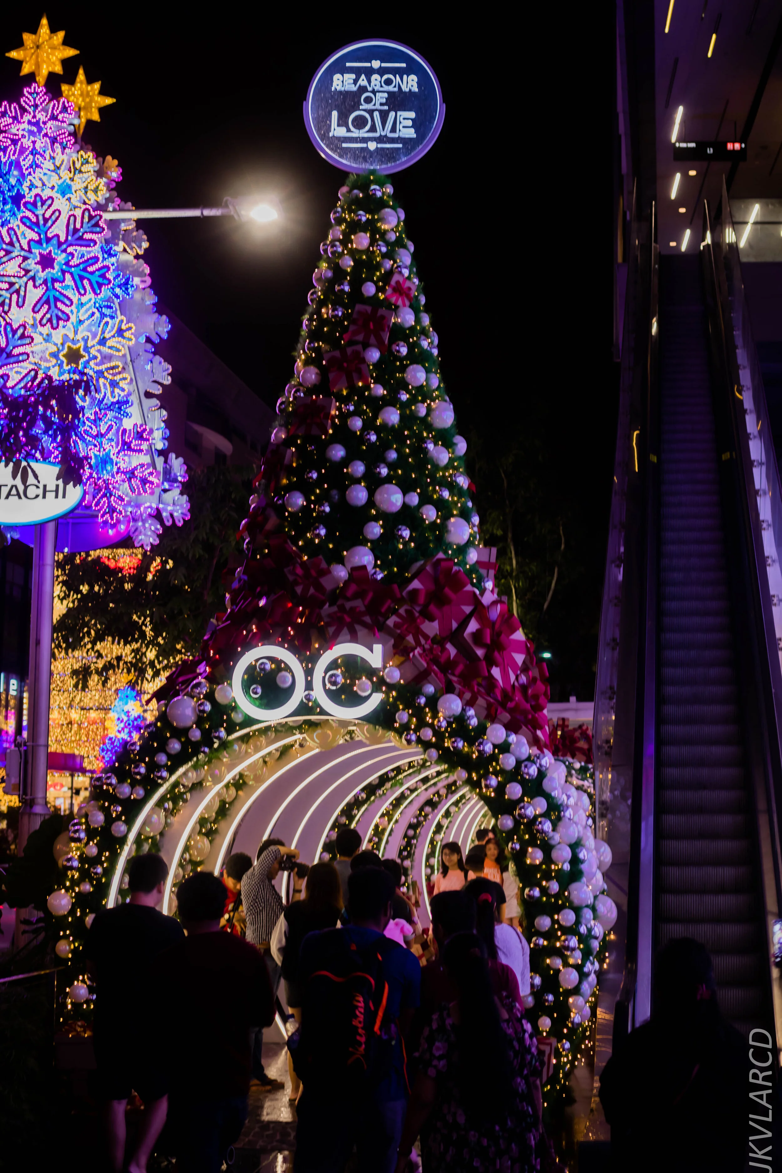 EOS 7D Mark II_2019_12_14_8965.jpg