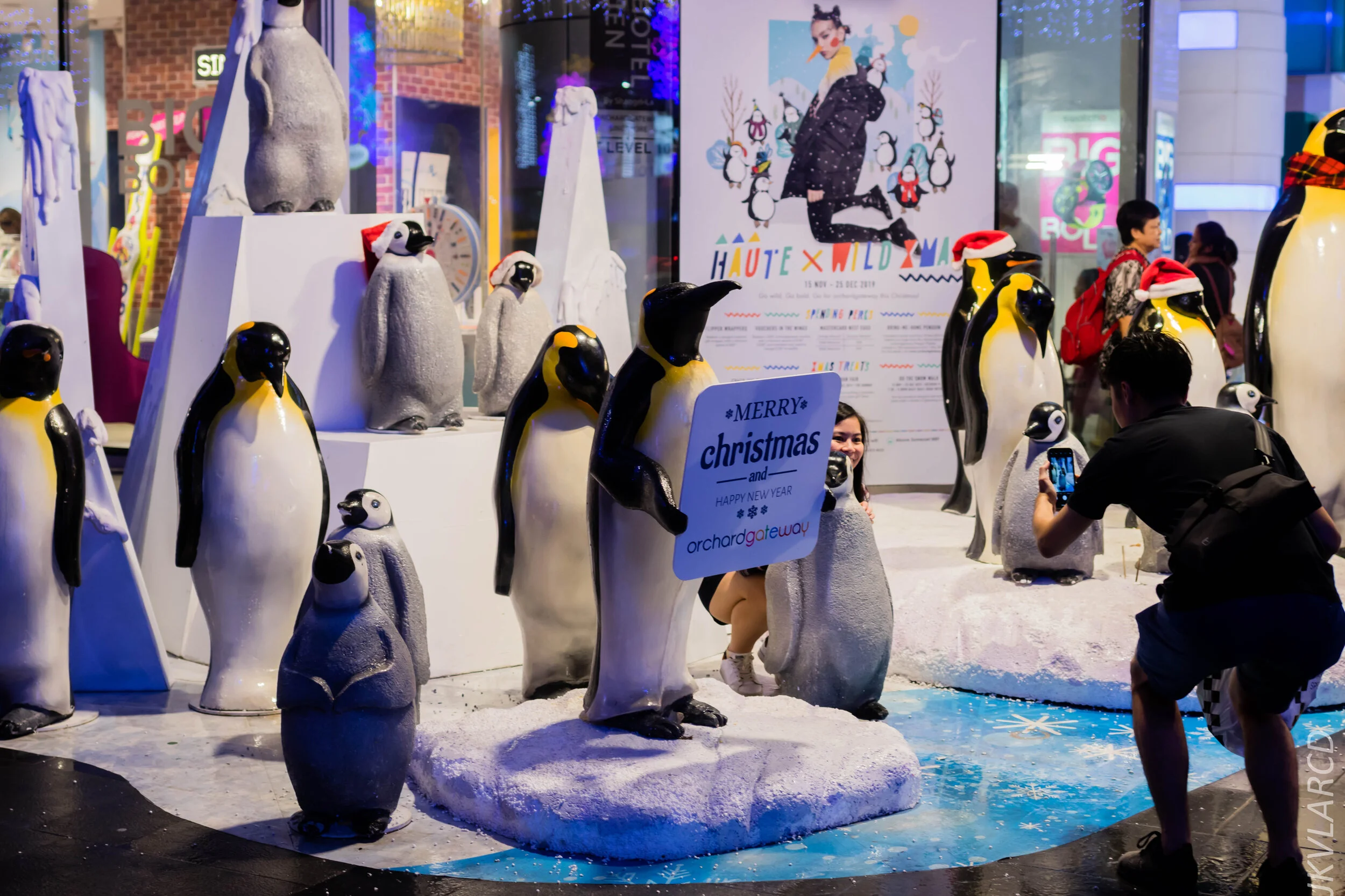 EOS 7D Mark II_2019_12_14_8968.jpg