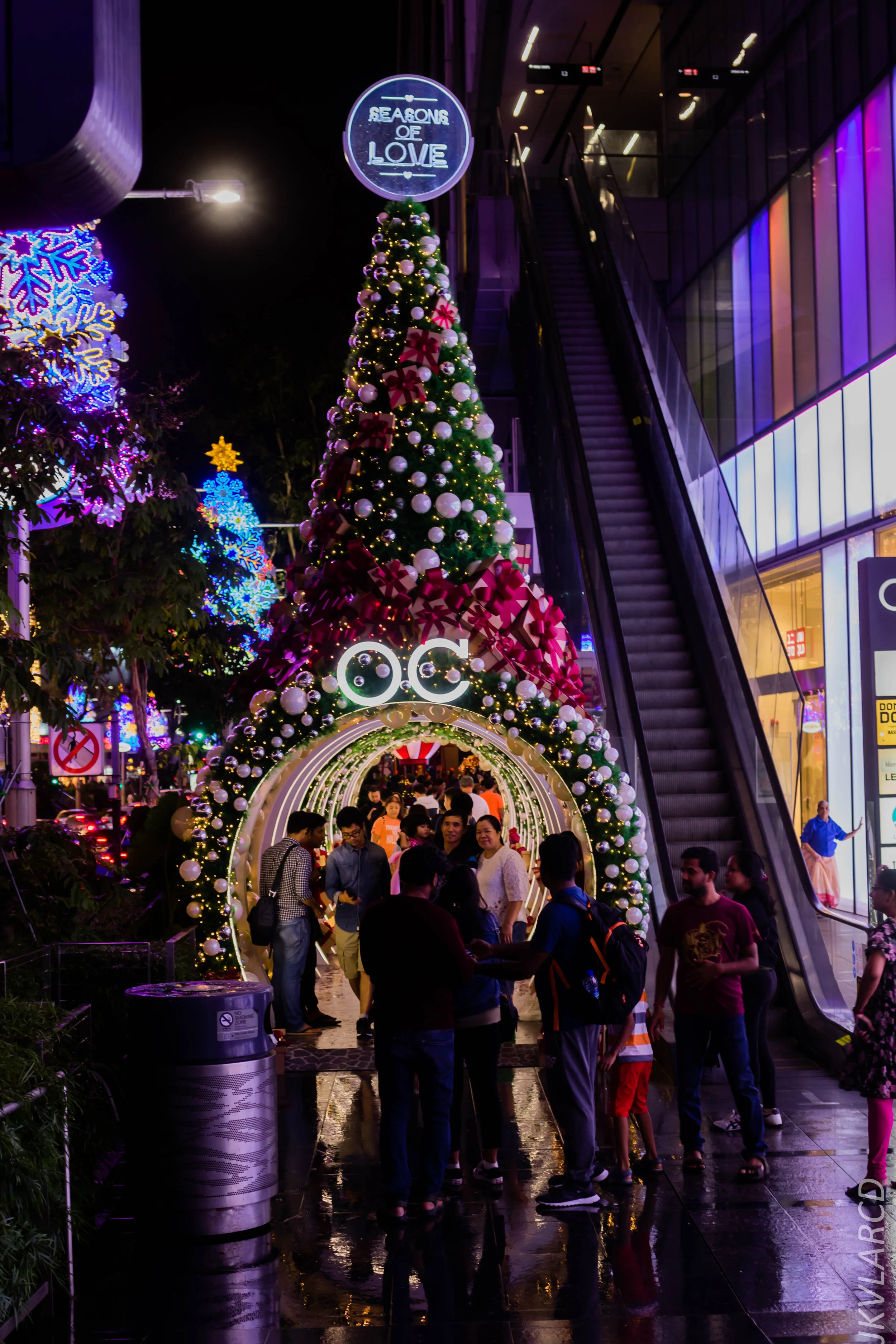 EOS 7D Mark II_2019_12_14_8967.jpg