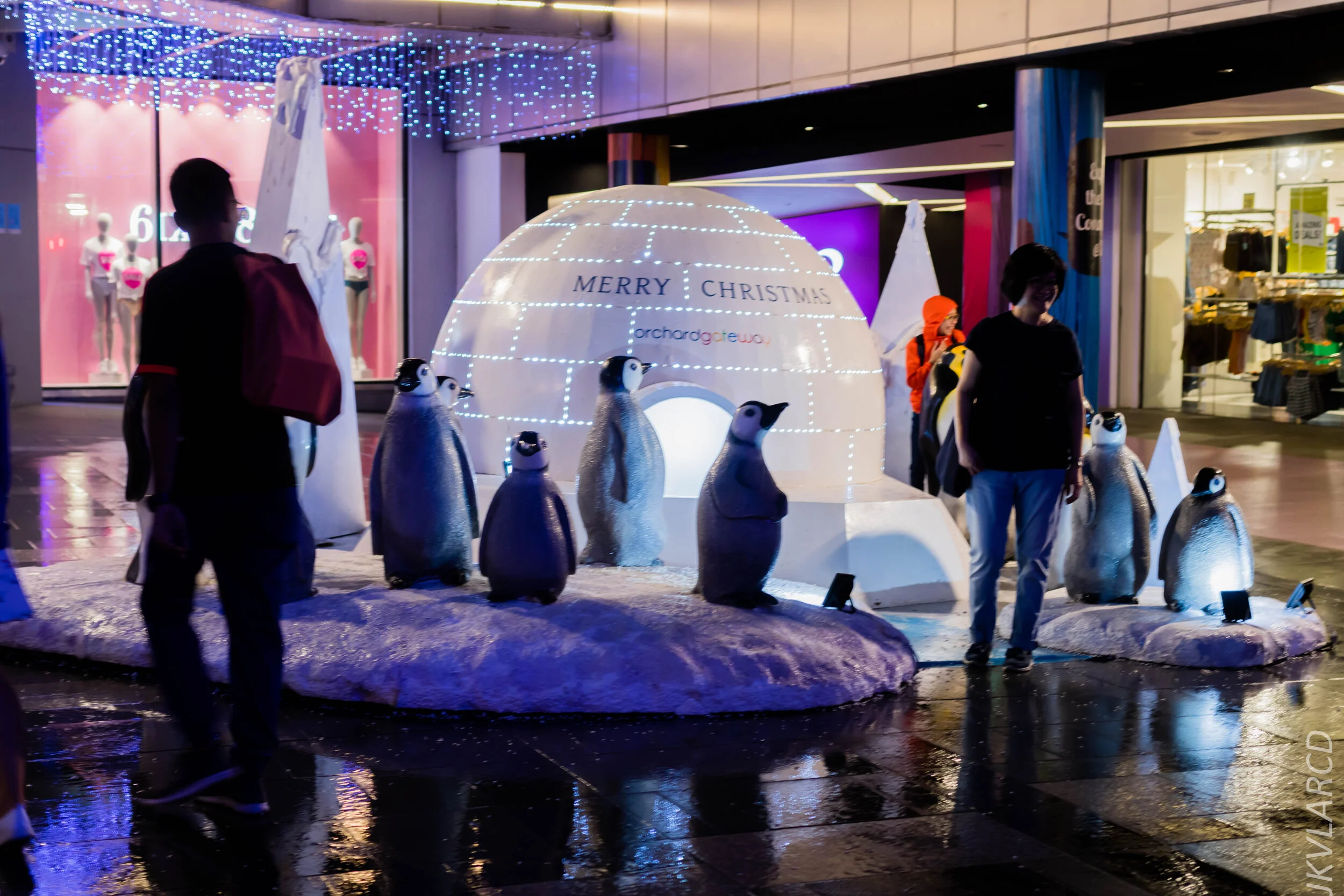 EOS 7D Mark II_2019_12_14_8971.jpg