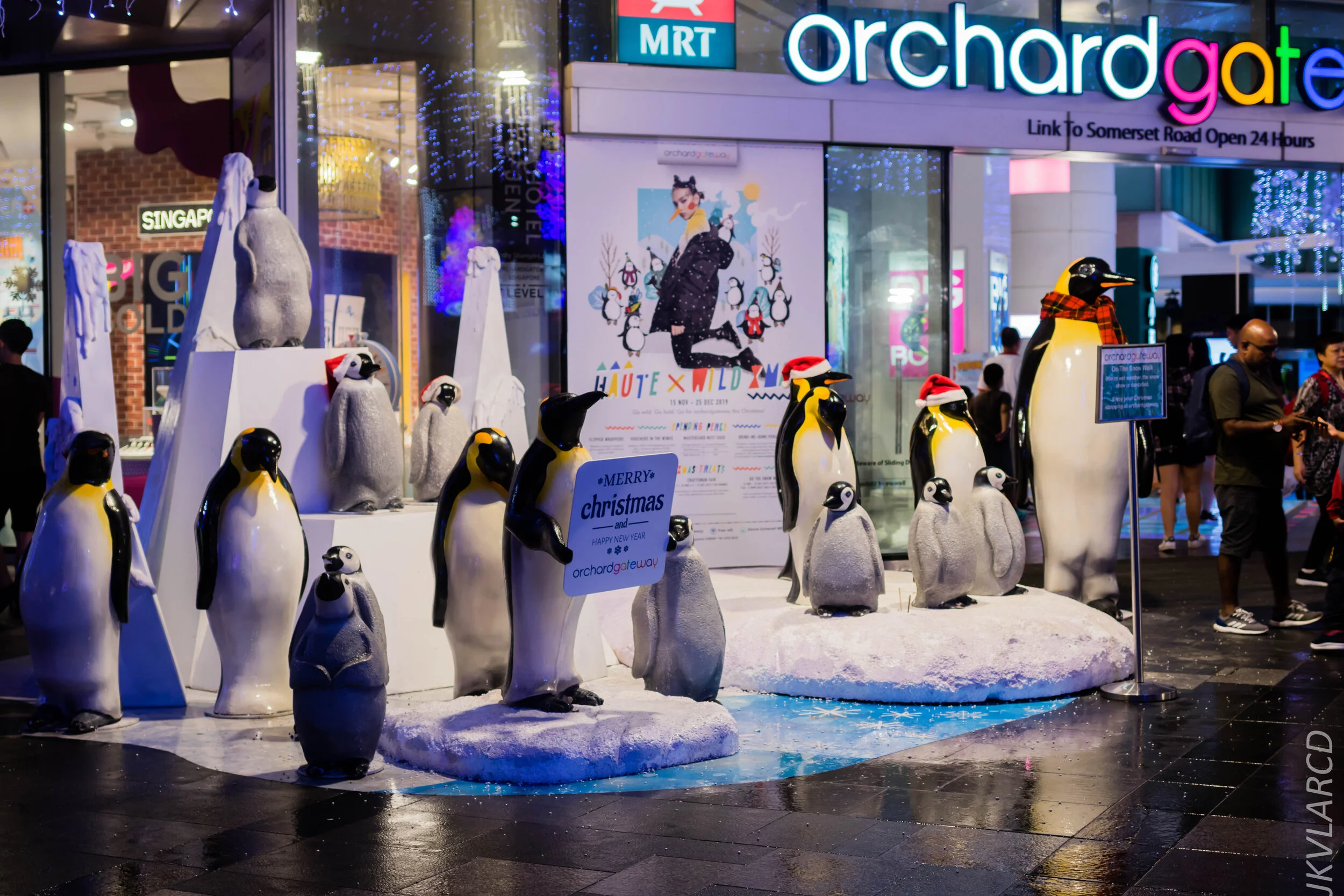 EOS 7D Mark II_2019_12_14_8969.jpg