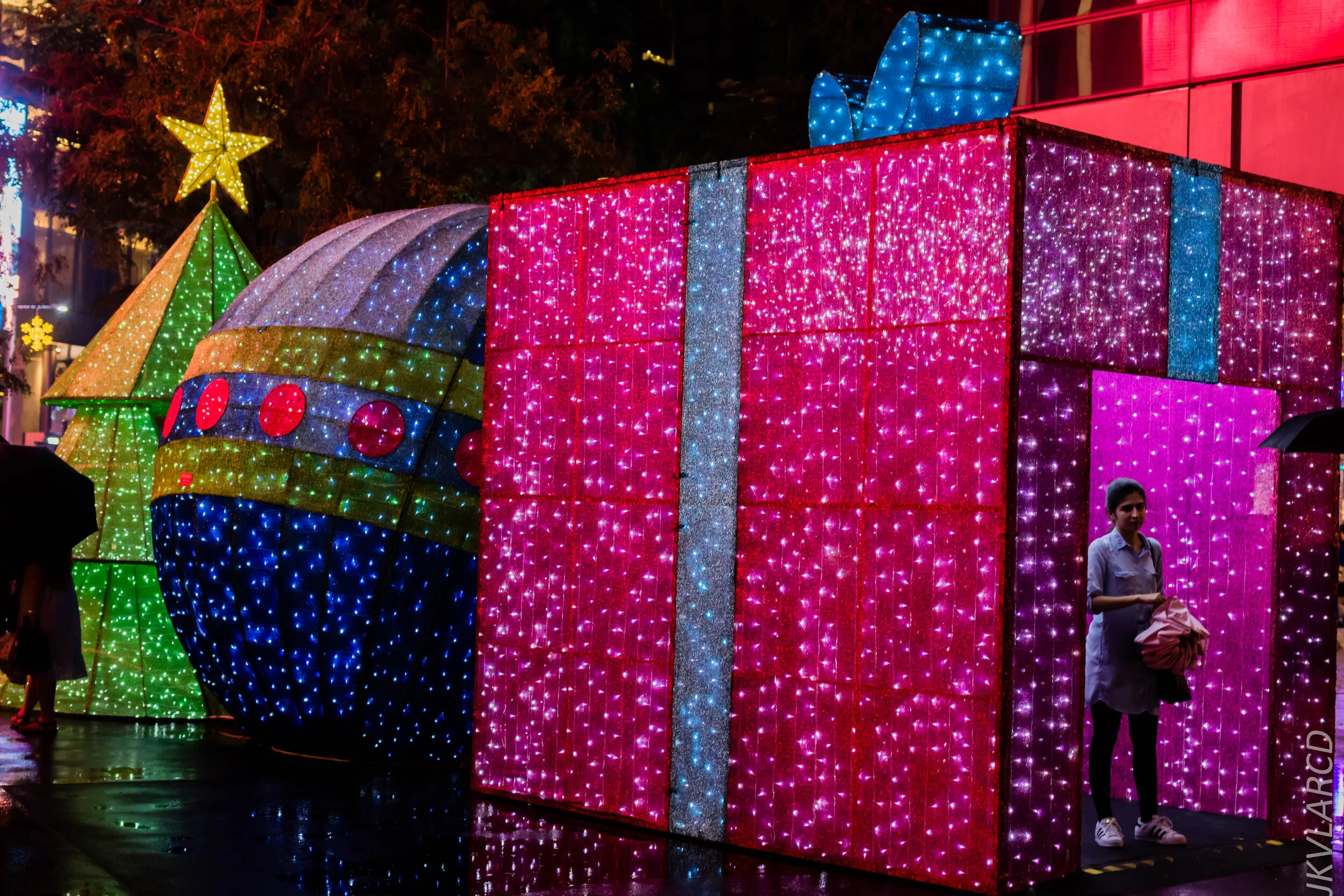 EOS 7D Mark II_2019_12_14_8975.jpg