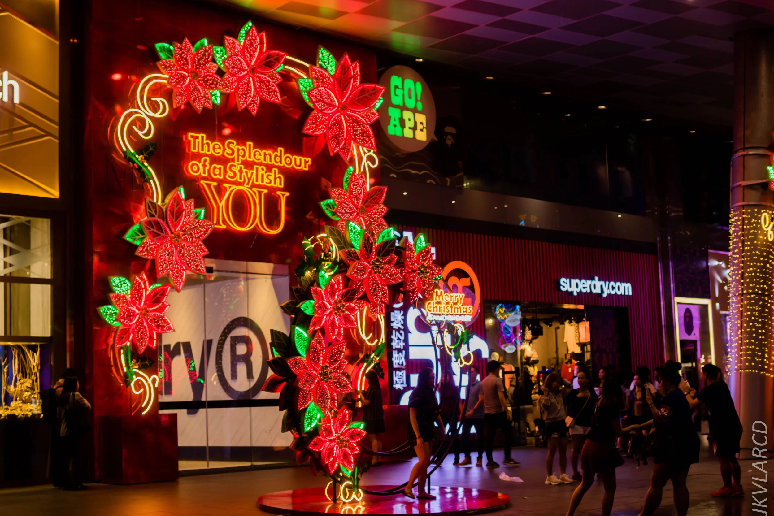 EOS 7D Mark II_2019_12_14_8978.jpg